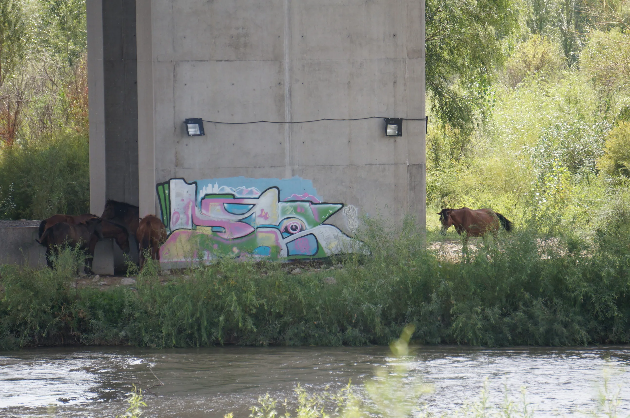 橋桁のスプレーアート