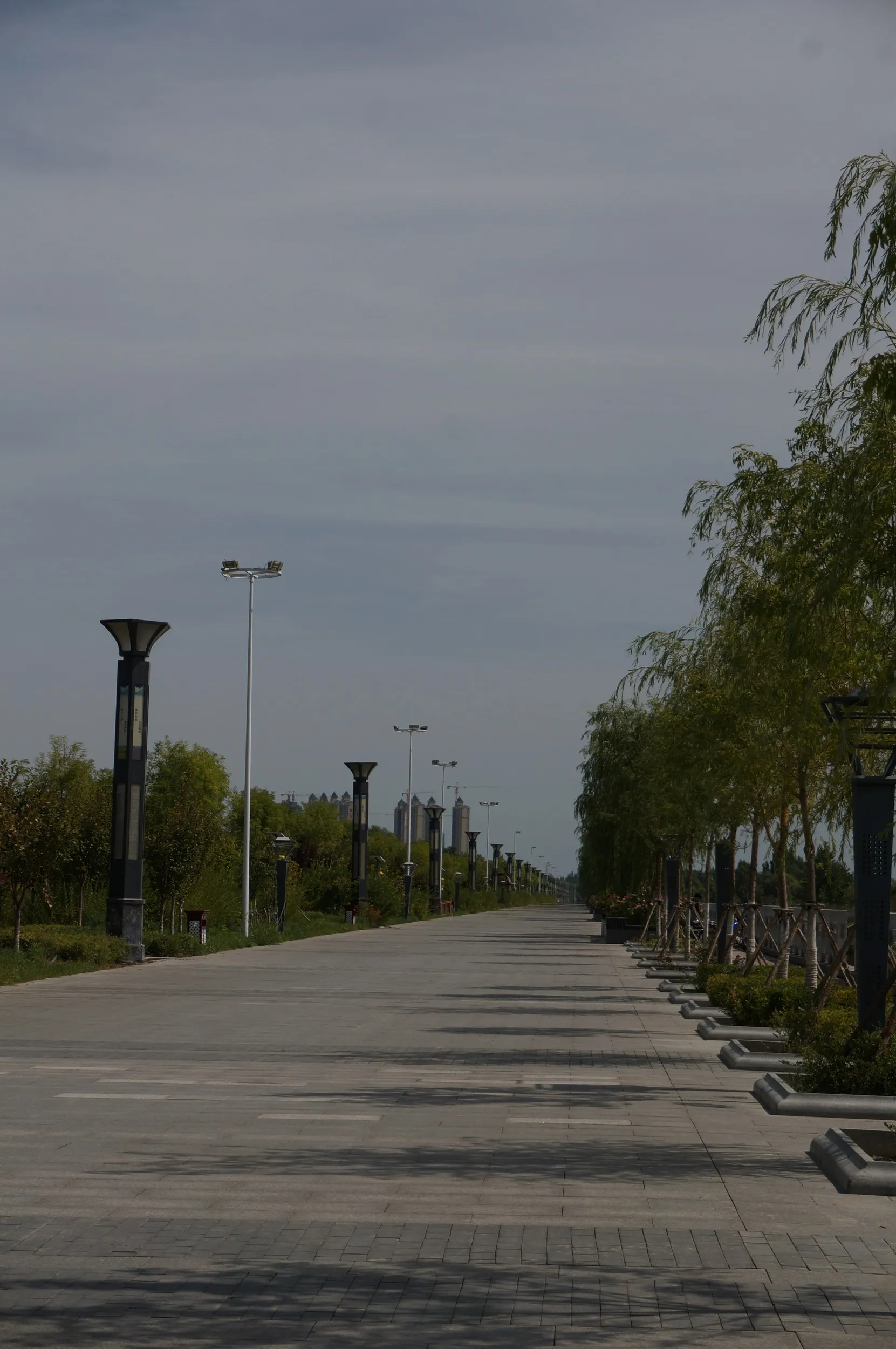 イリ河の河畔の風景