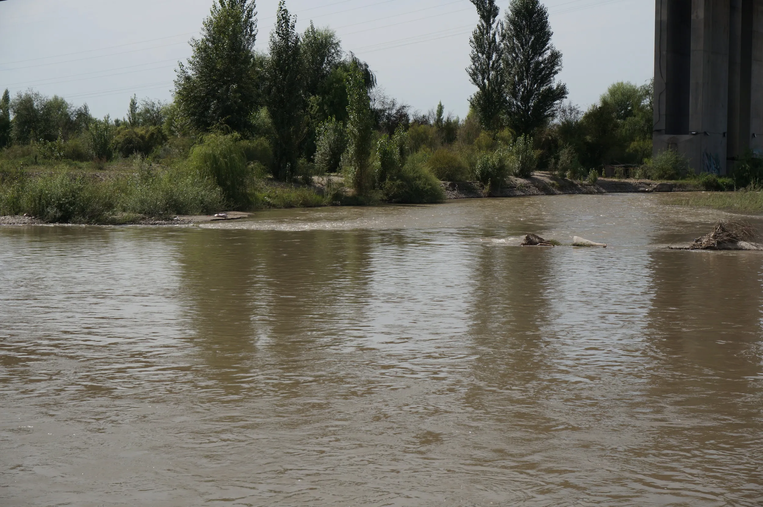 イリ河の川面