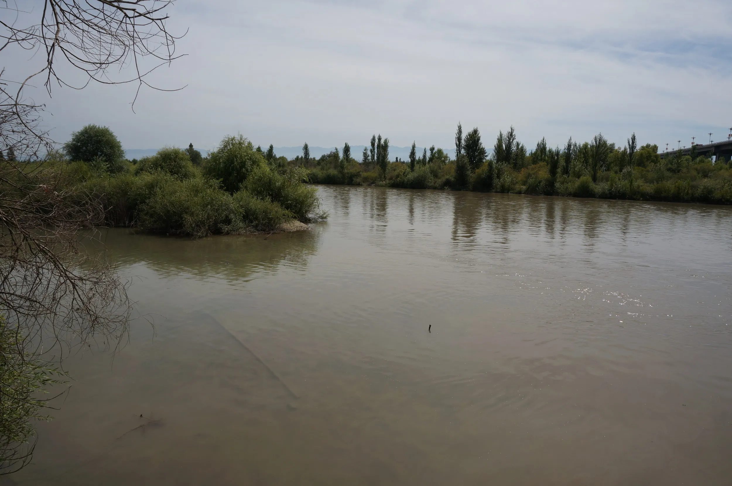 イリ河大橋をタイムラプス撮影
