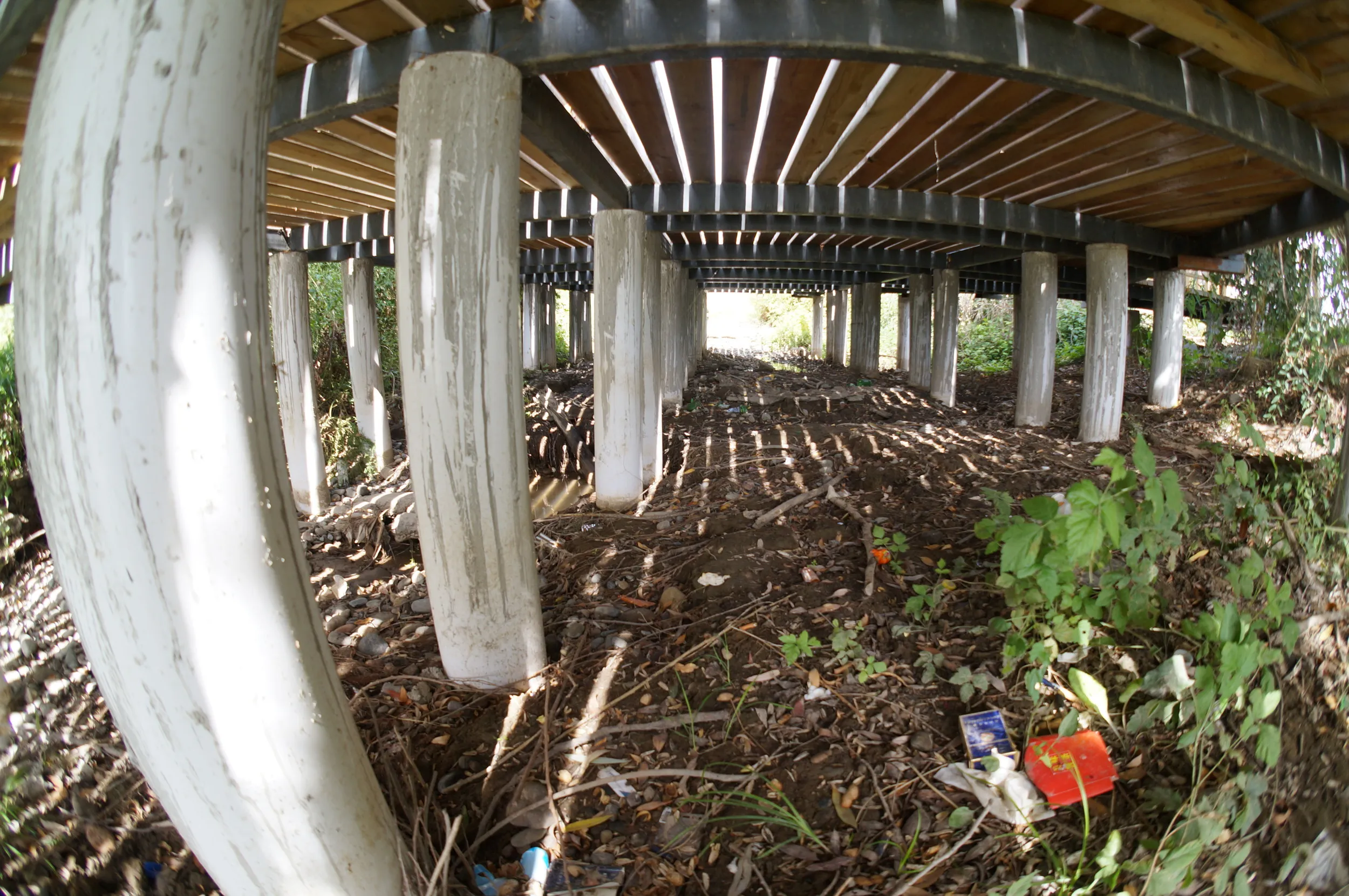 イリ河大橋前の遊歩道の下