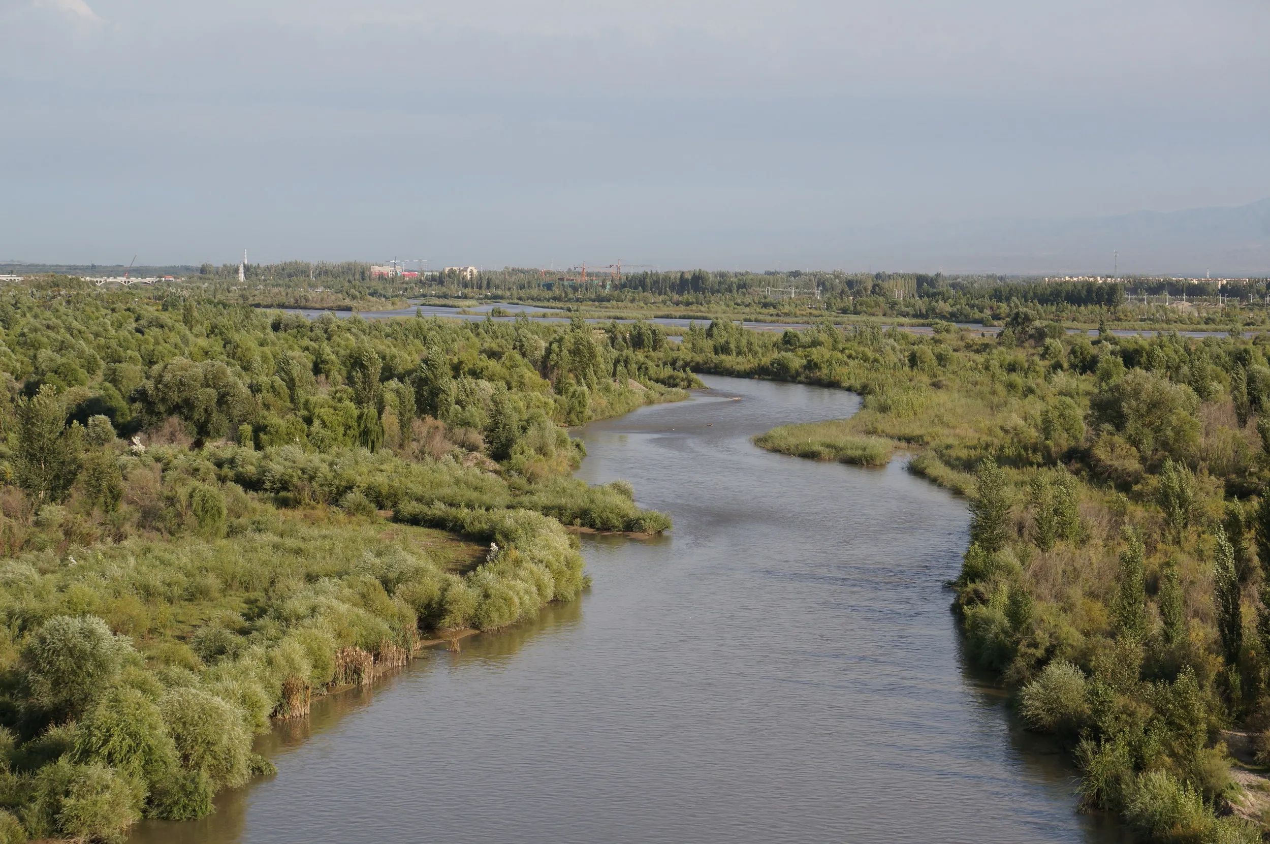 イリ河大橋の上からイリ河を眺める