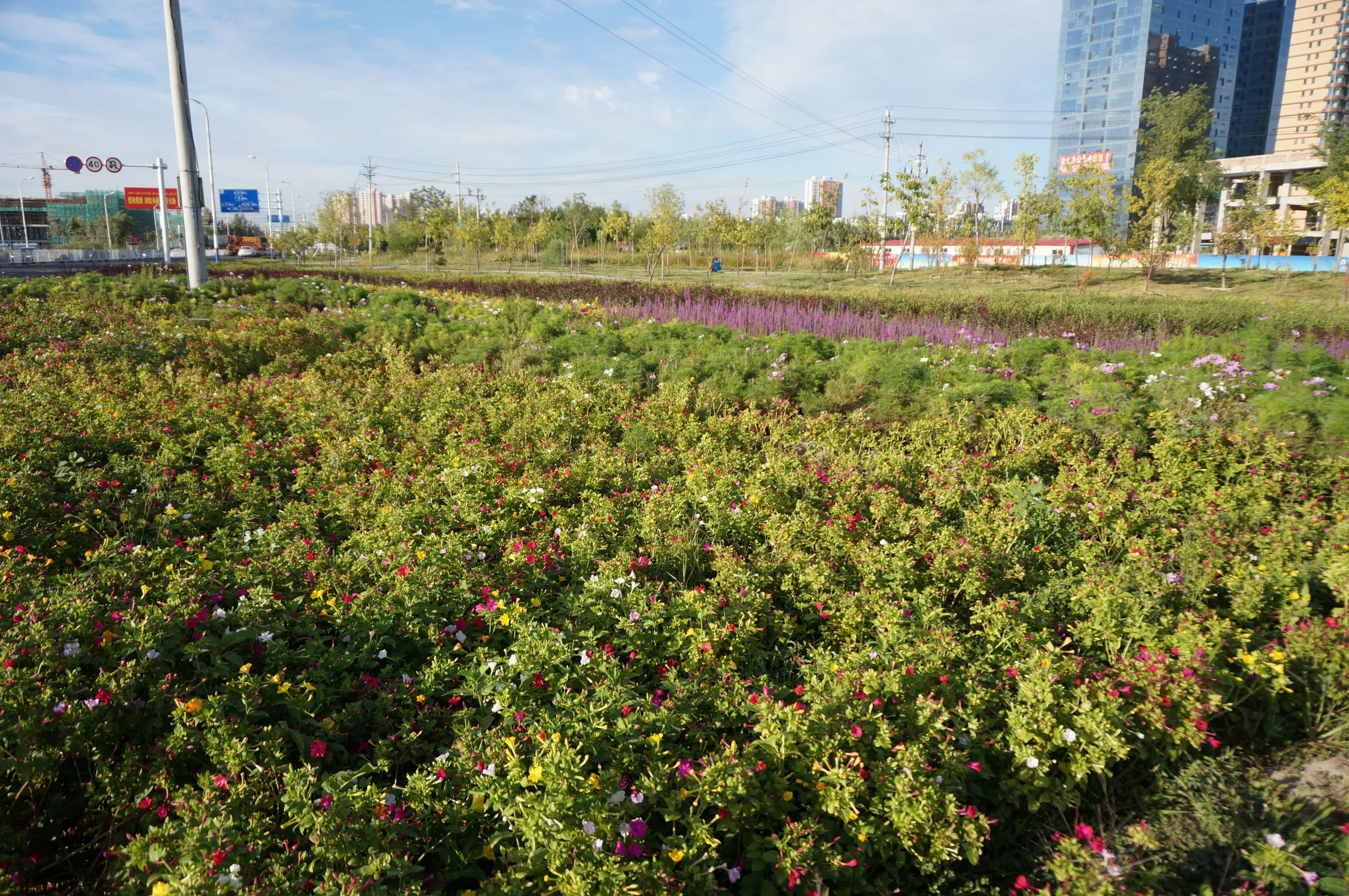 イリ河大橋の入り口