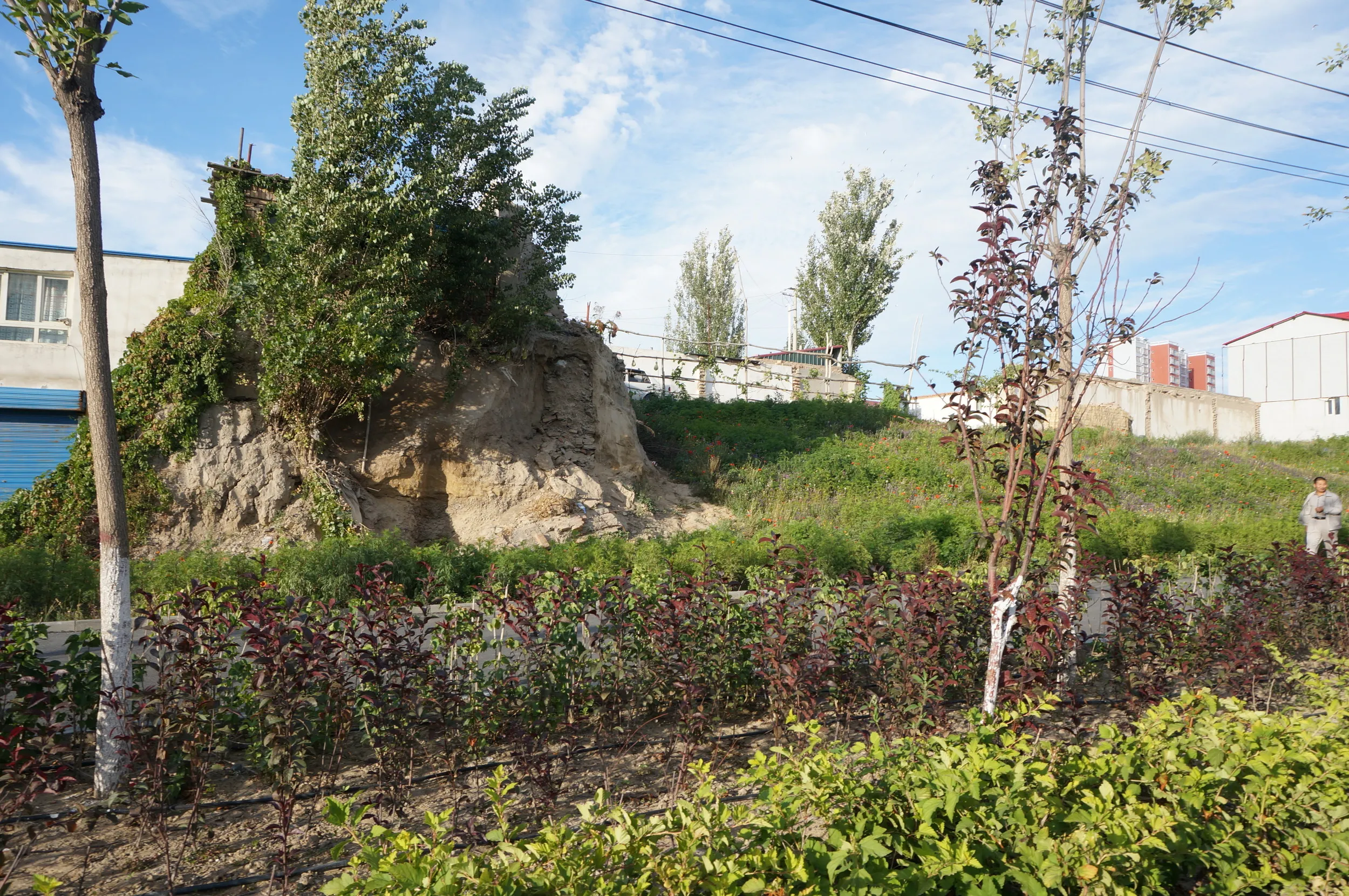 ウイグル族の運転手お勧めのスポット