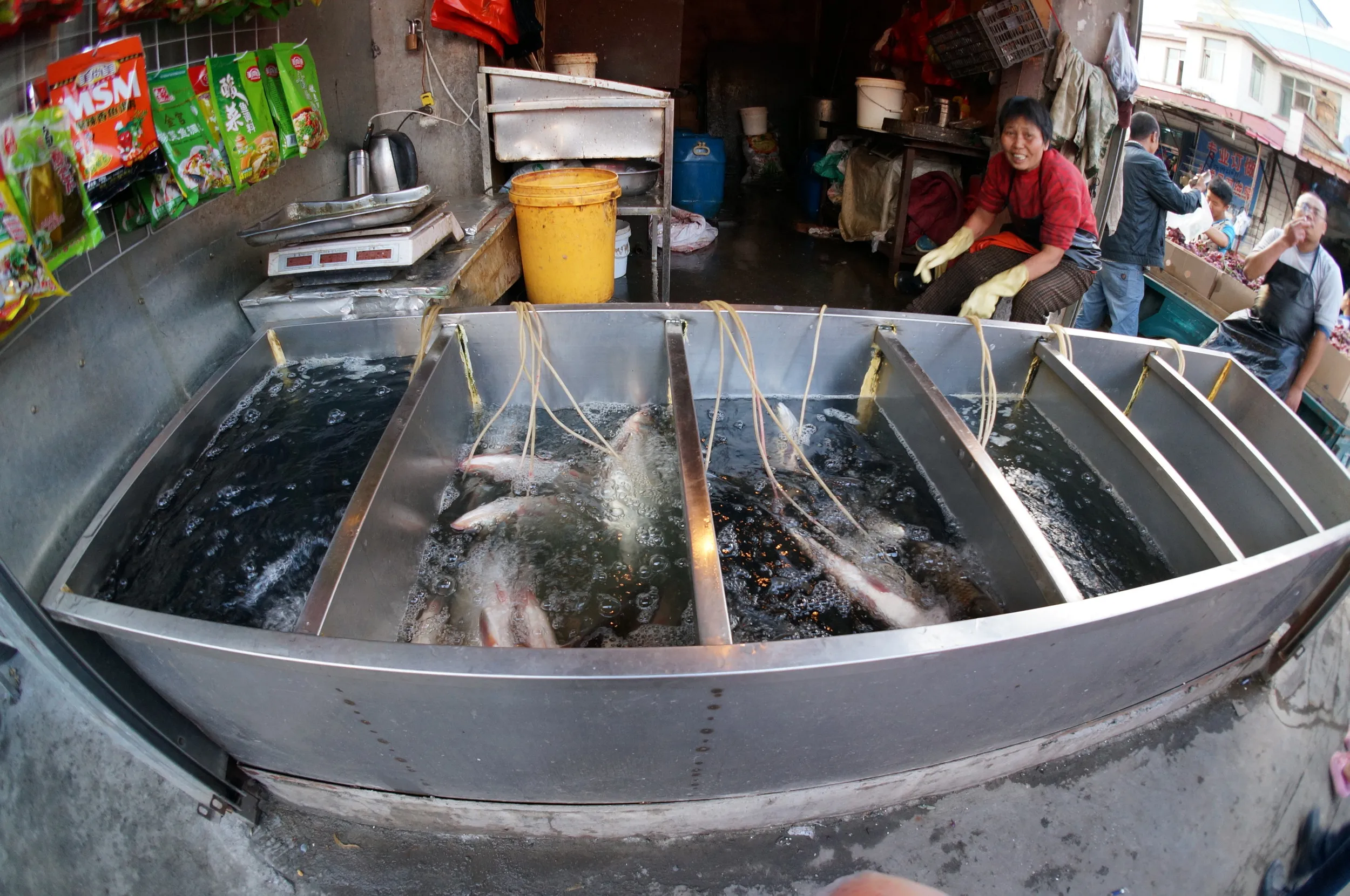 軍墾路便民市場の魚屋