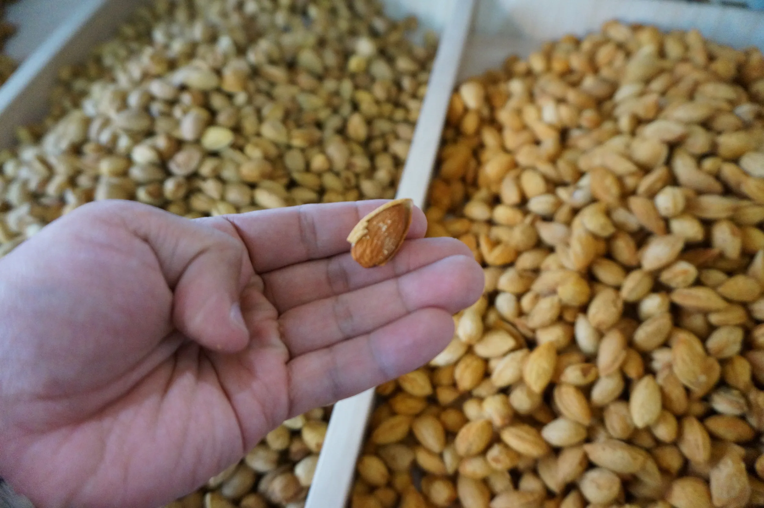 乾物屋でアーモンドを購入