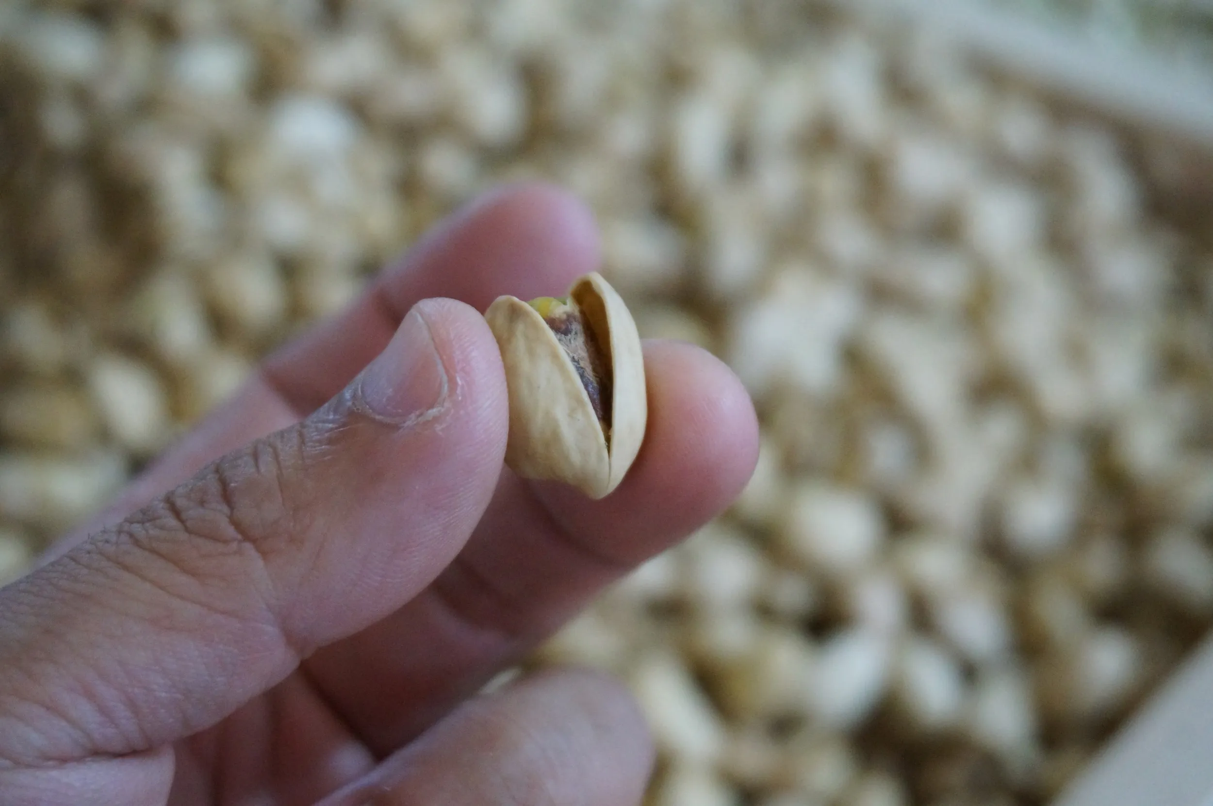 乾物屋でピスタチオを購入