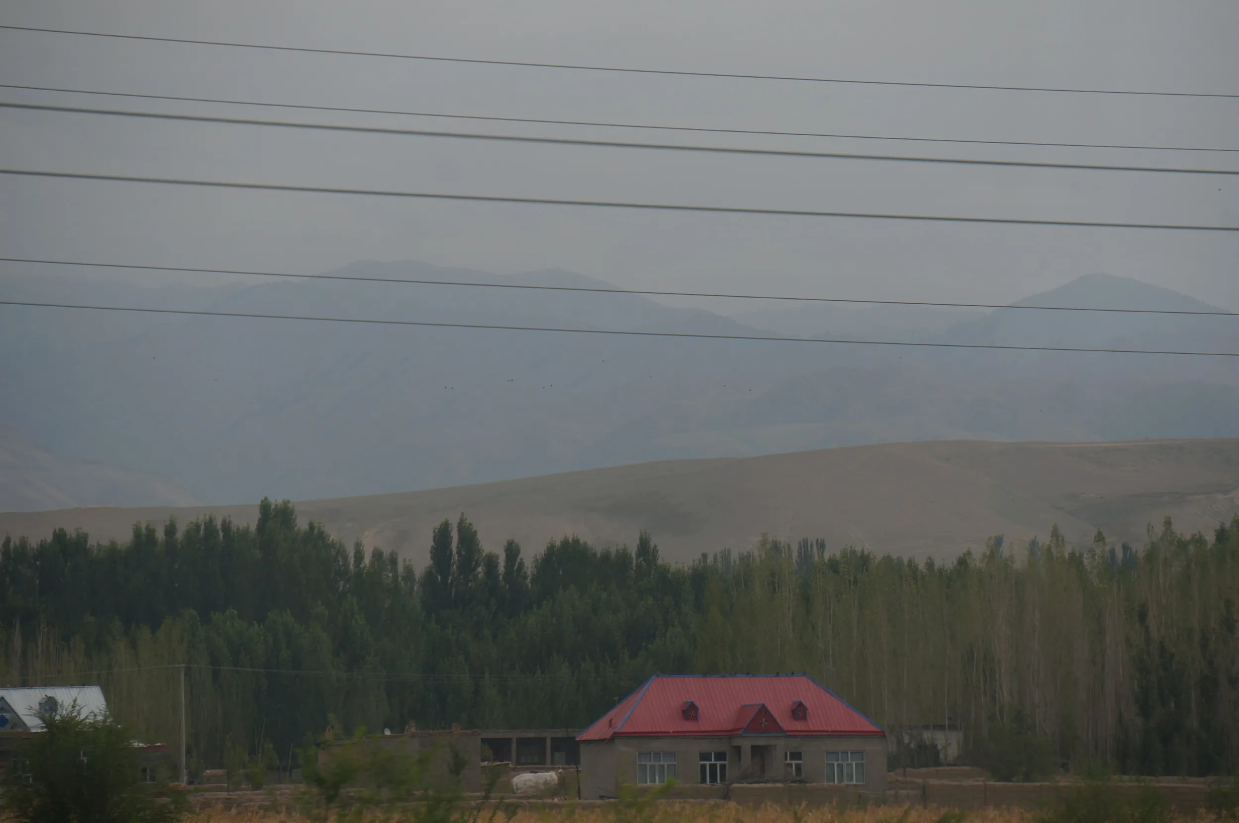 天山山脈が見える