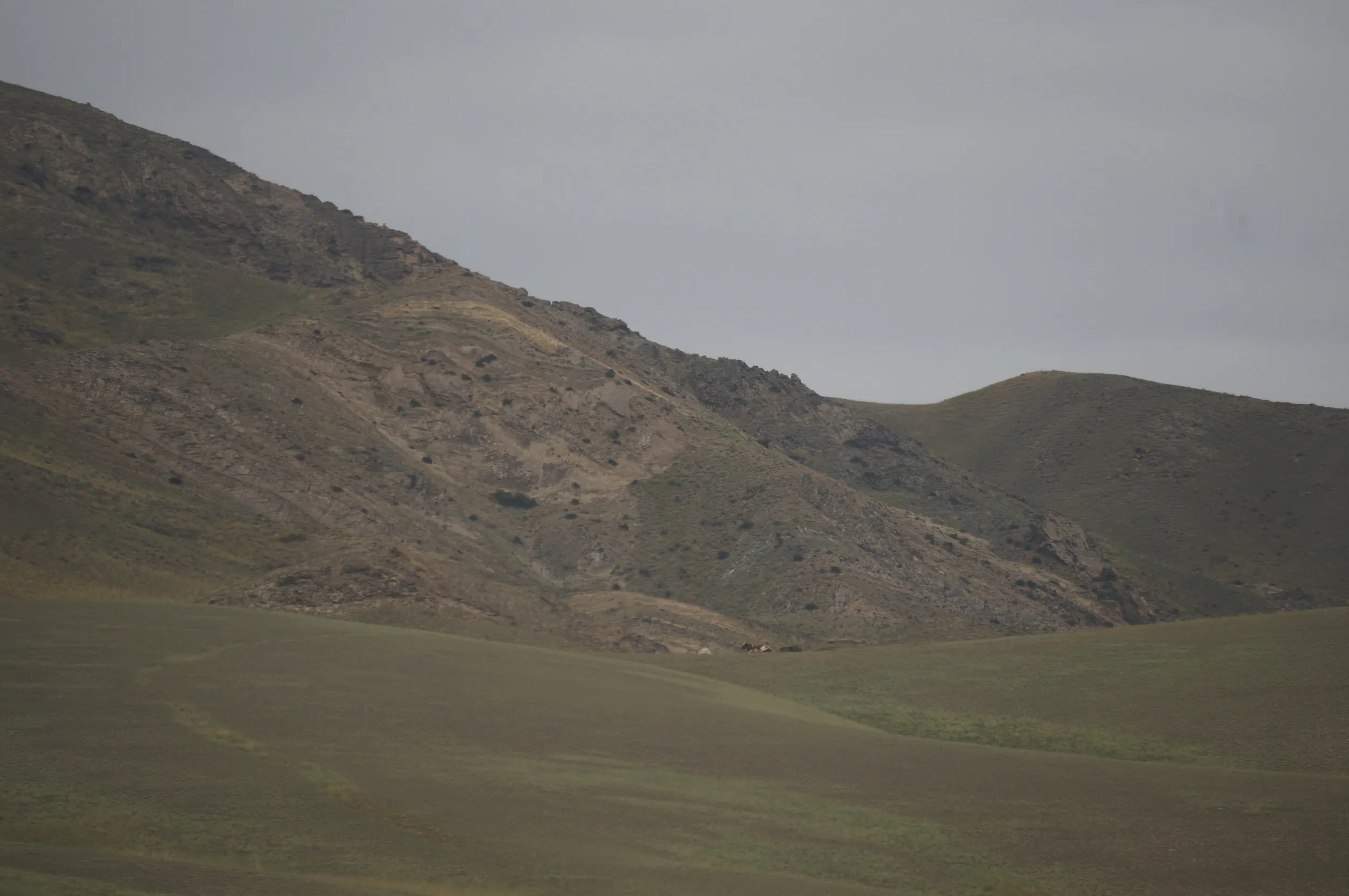 草原地帯を列車は爽快に走り抜ける
