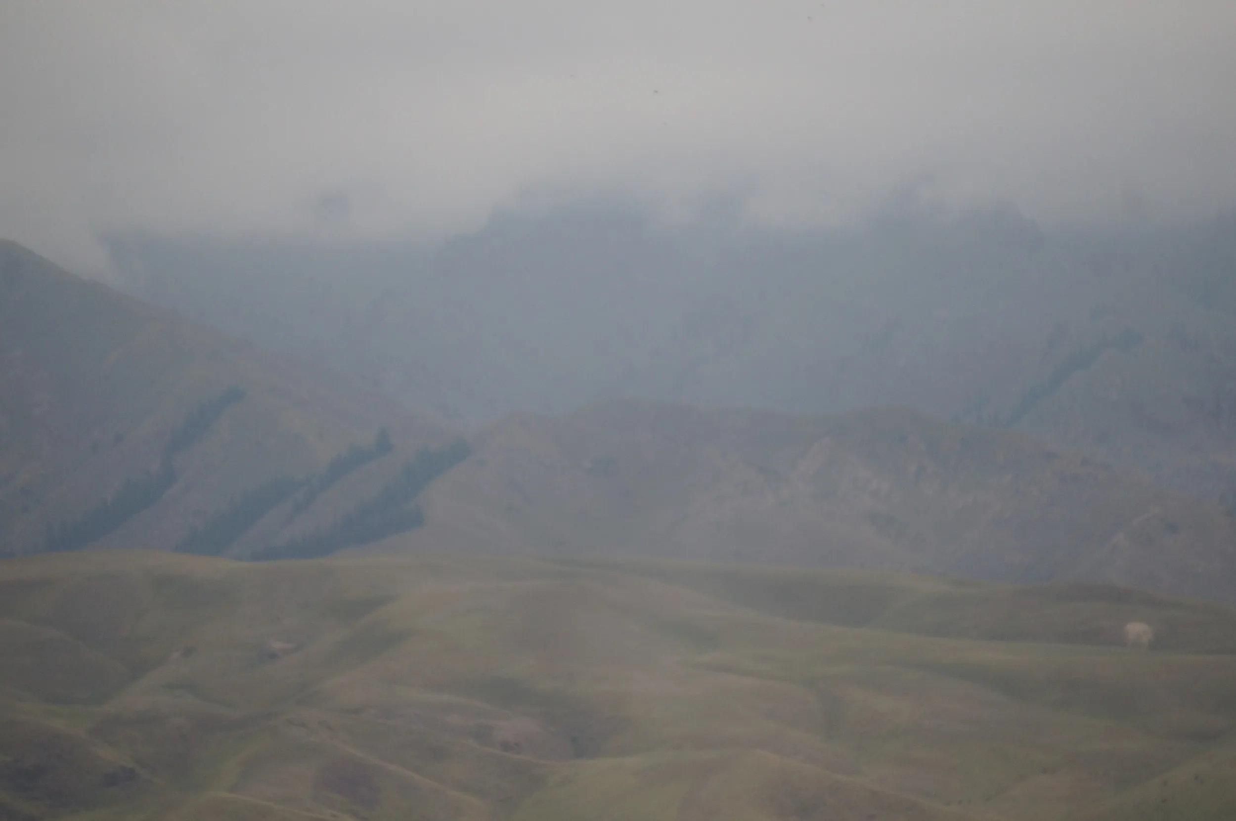 天山山脈が見える