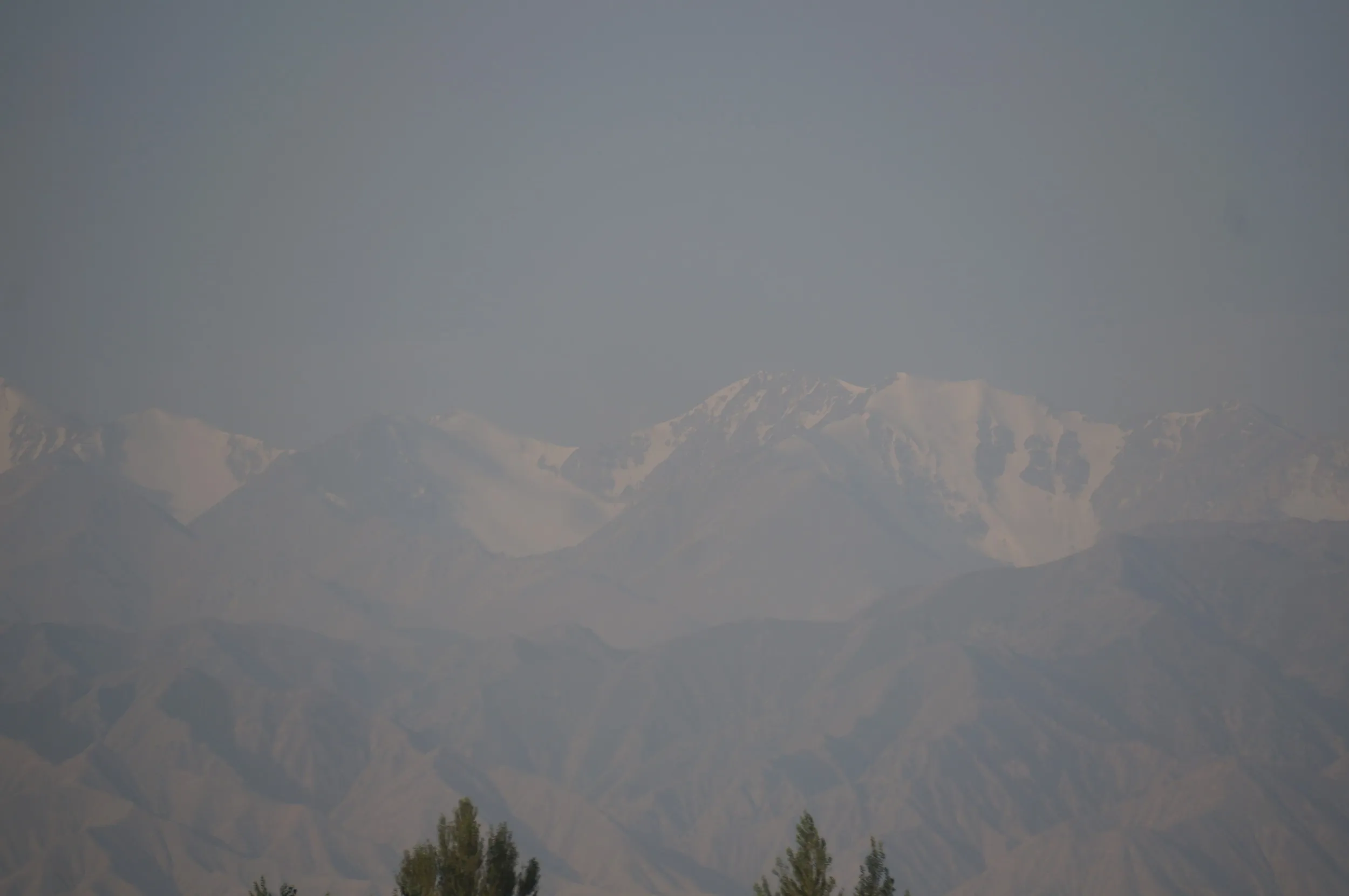 冠雪した天山山脈が見える