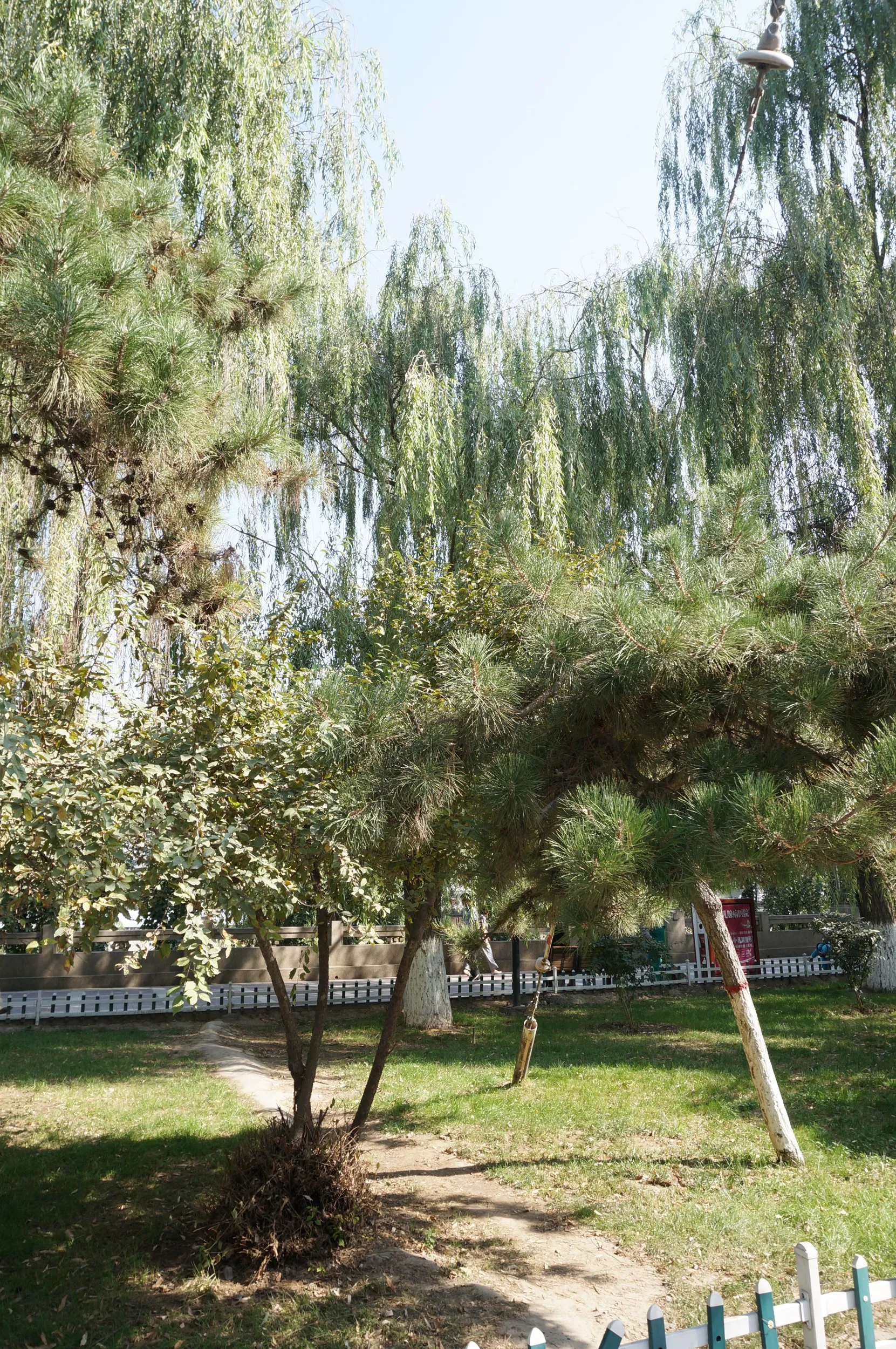 中山橋付近の風景