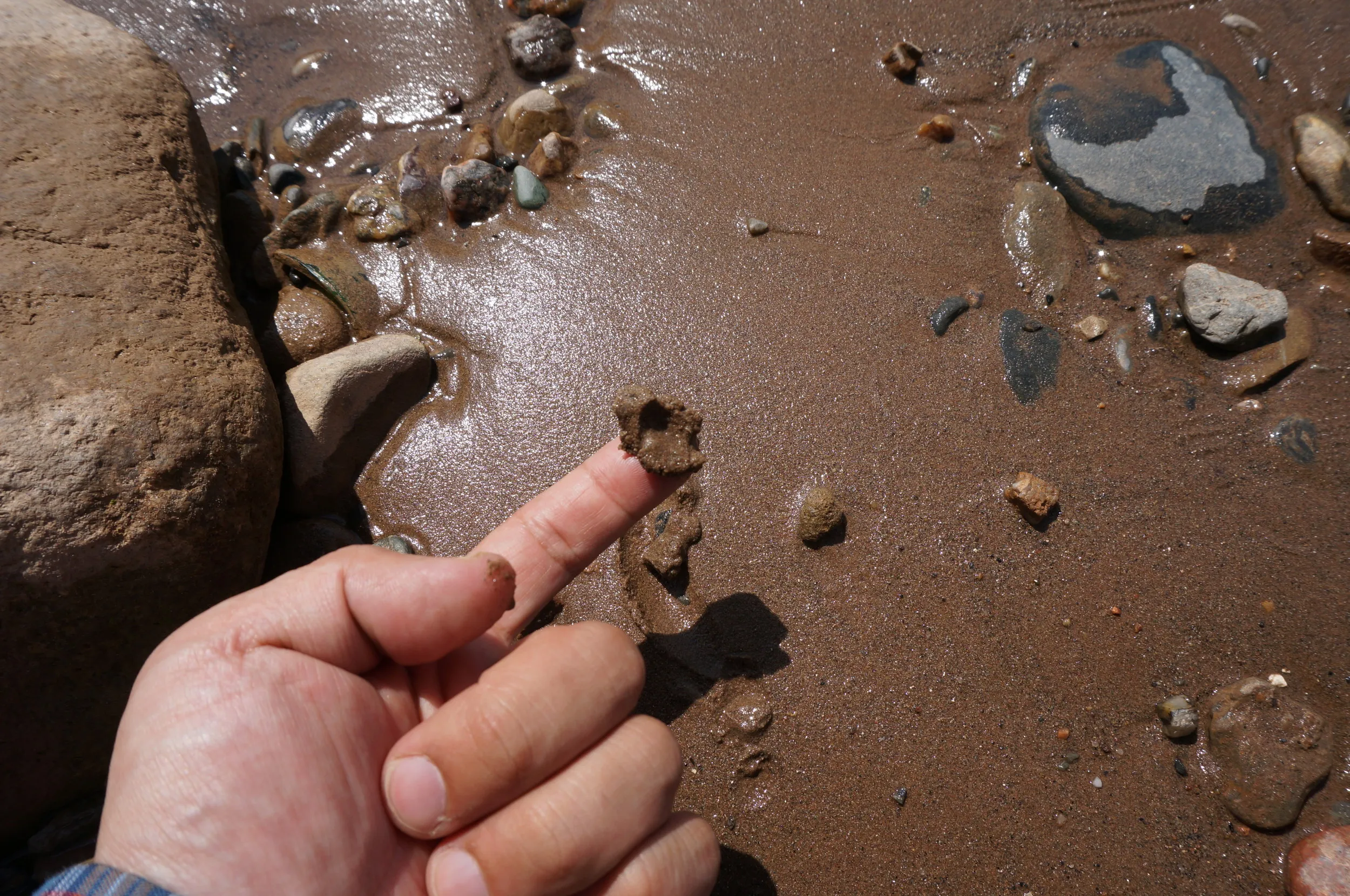 河岸で砂に触れる