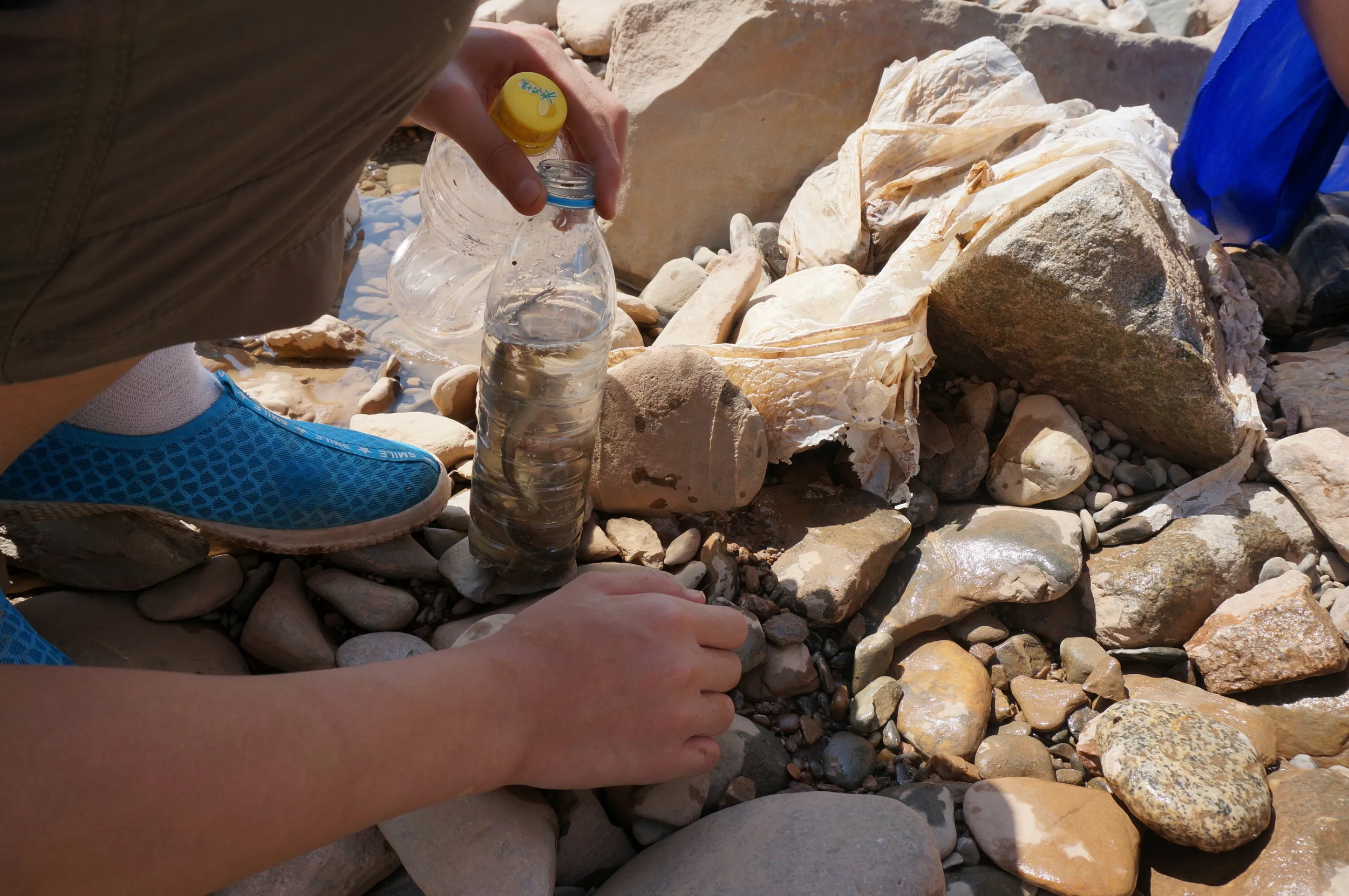 ドジョウをすくっている少年