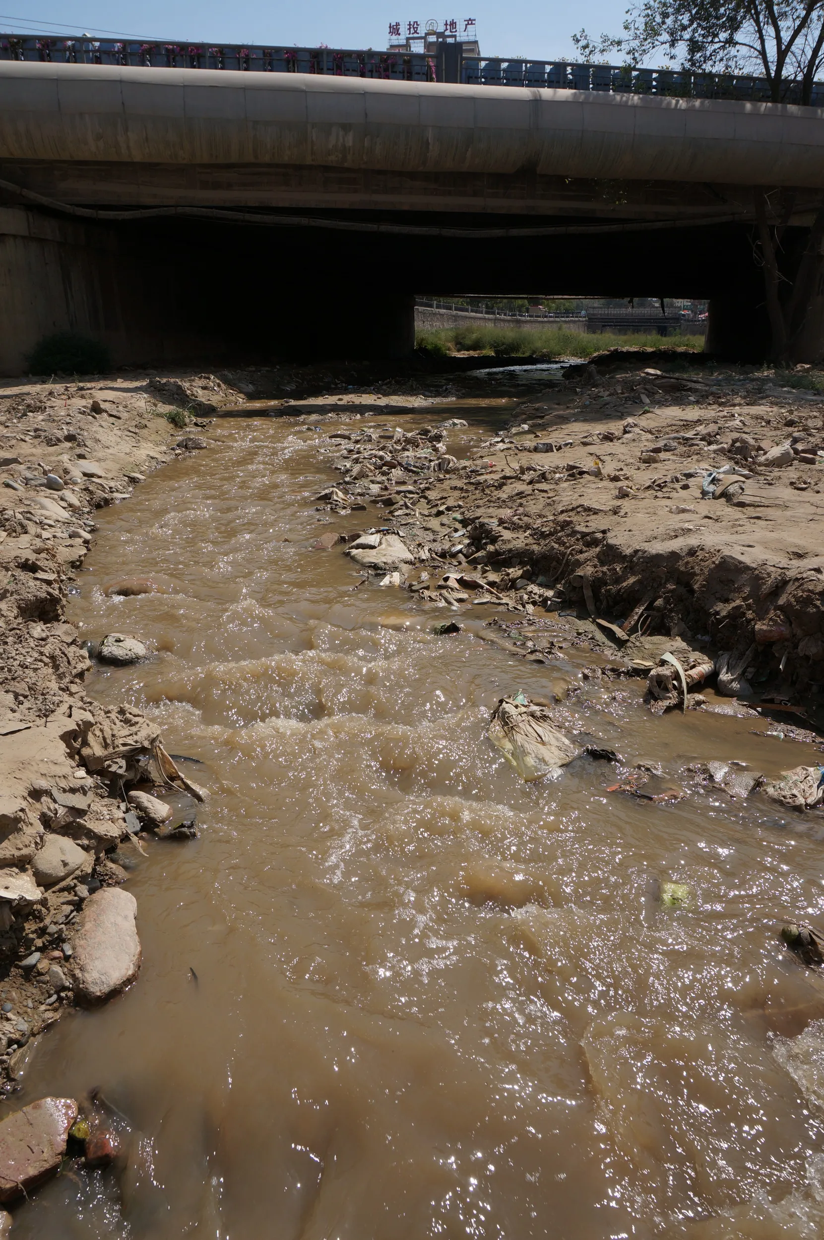 遊歩道を横切り黄河へそそぐ小川