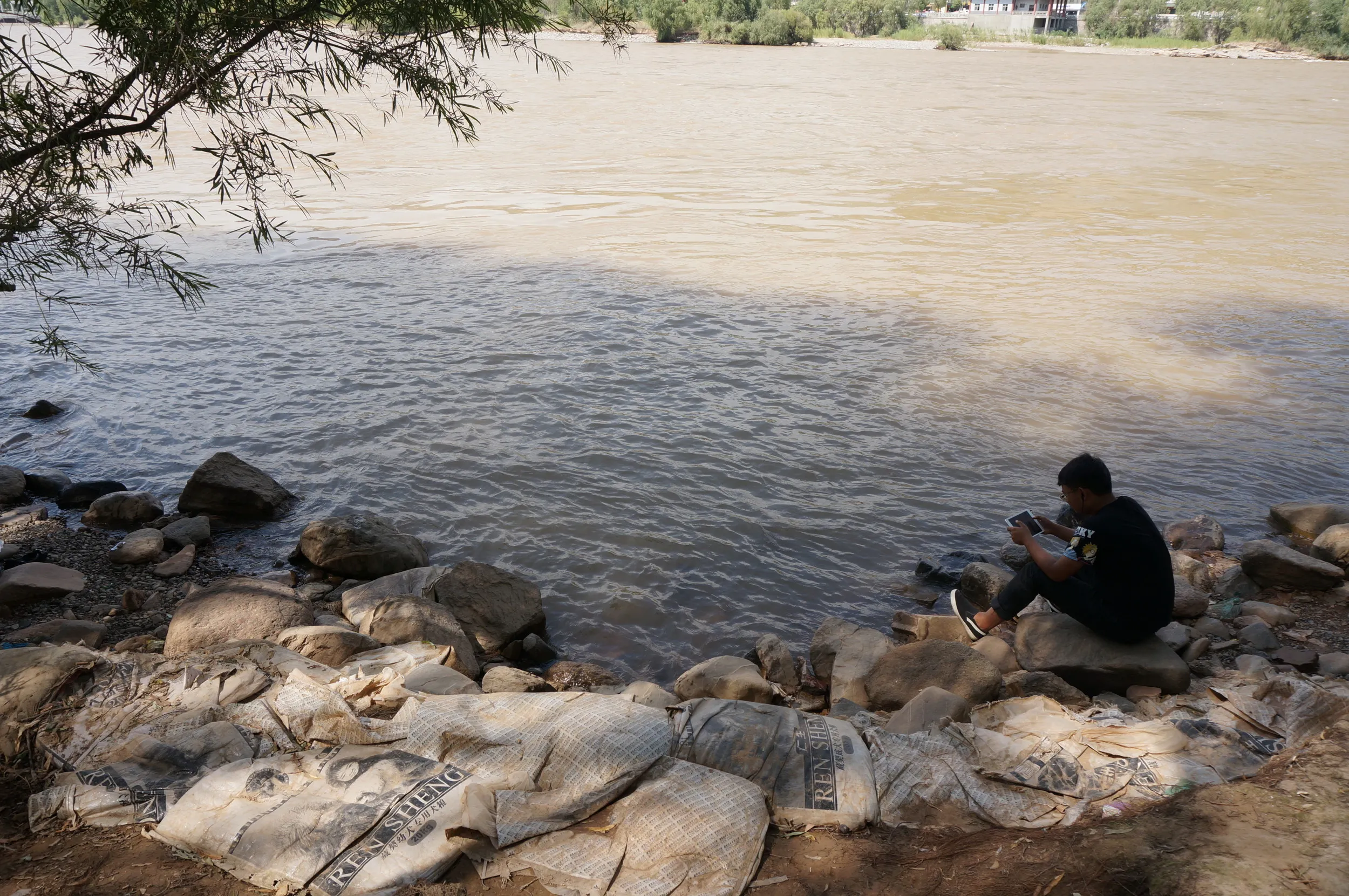 遊歩道から黄河の川面を観察