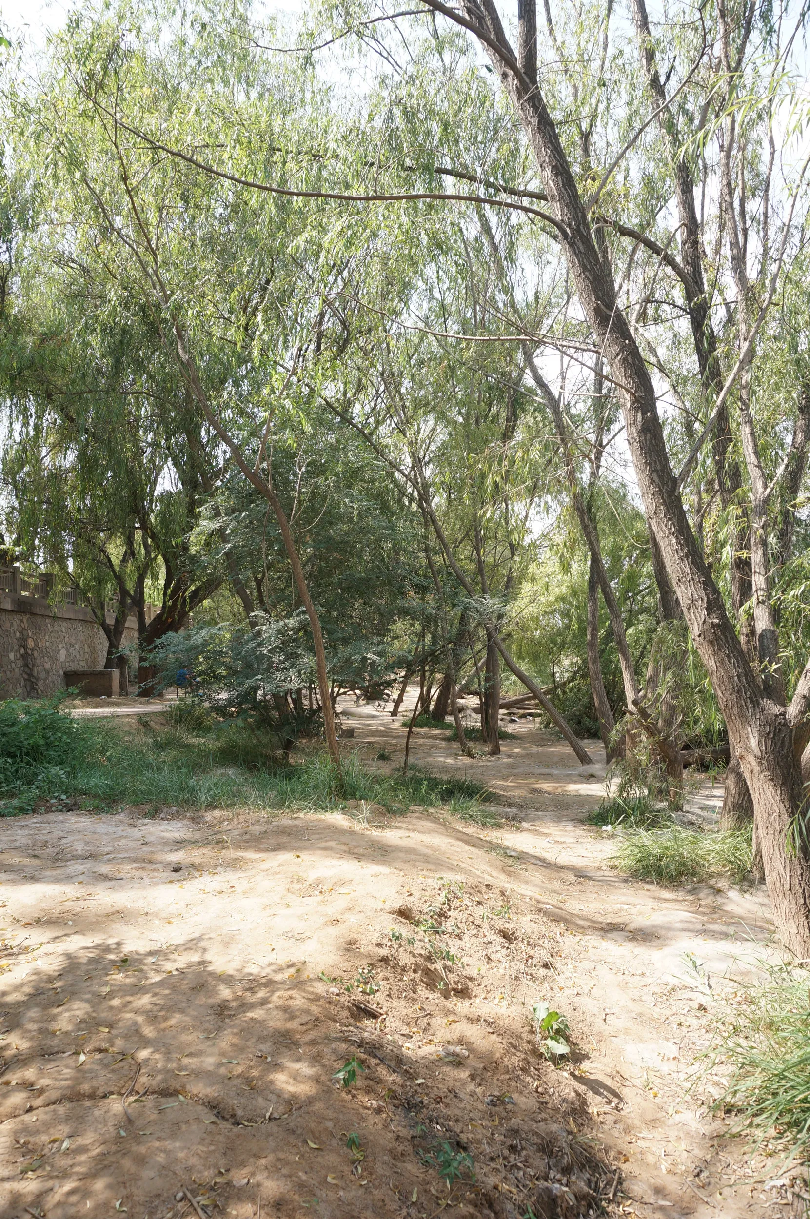 うっそうと茂った林を抜けて向かう