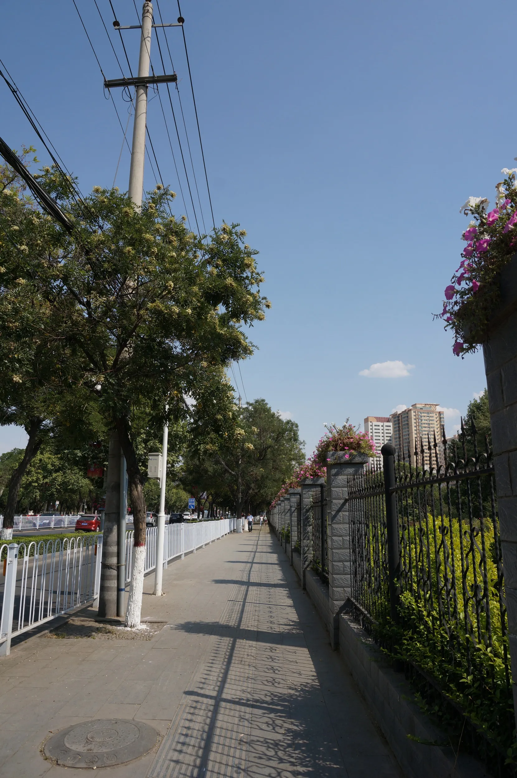 黄河母親像付近の風景