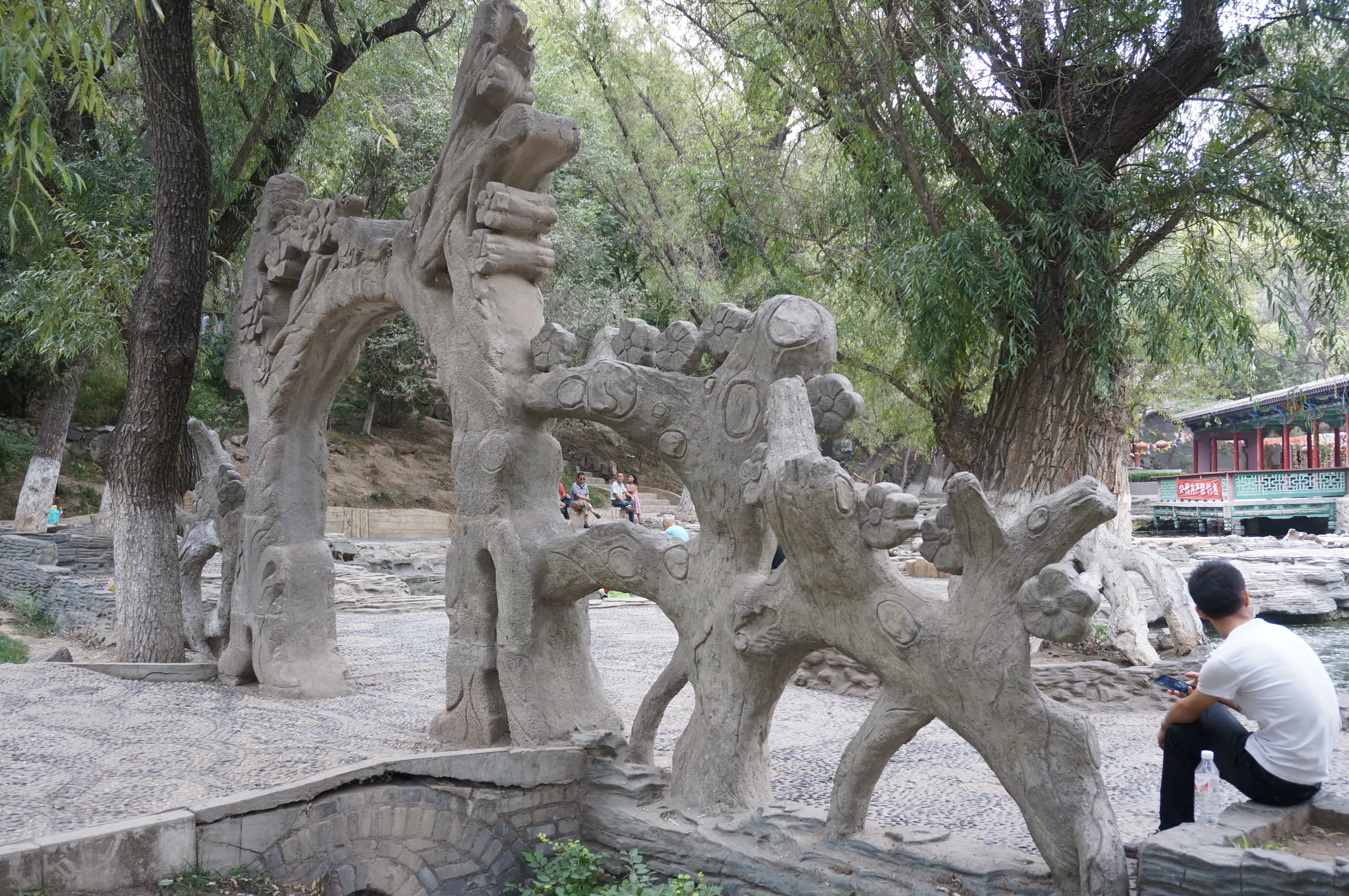 五泉山公園の風景