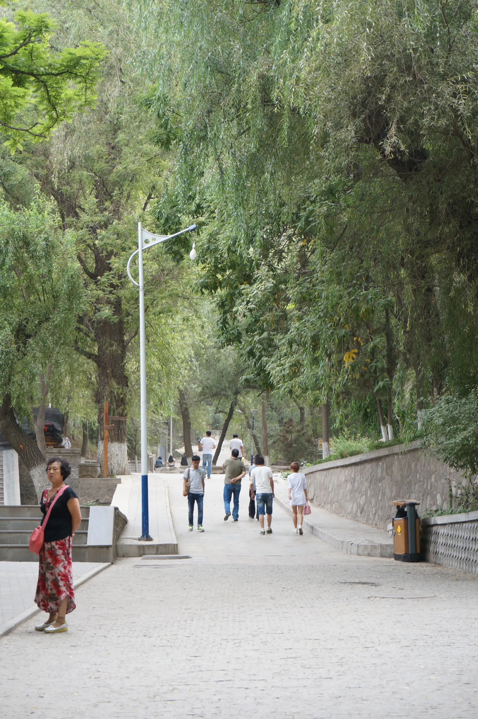 五泉山公園の坂道