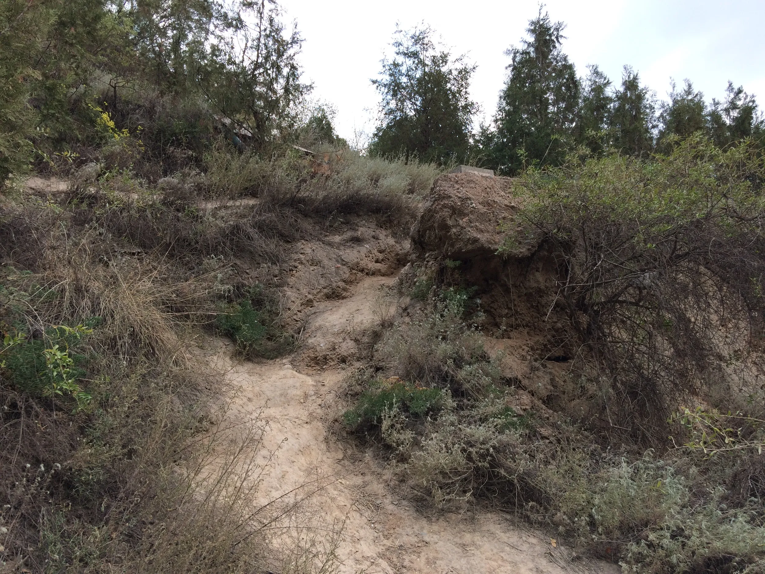 山道をトレッキング