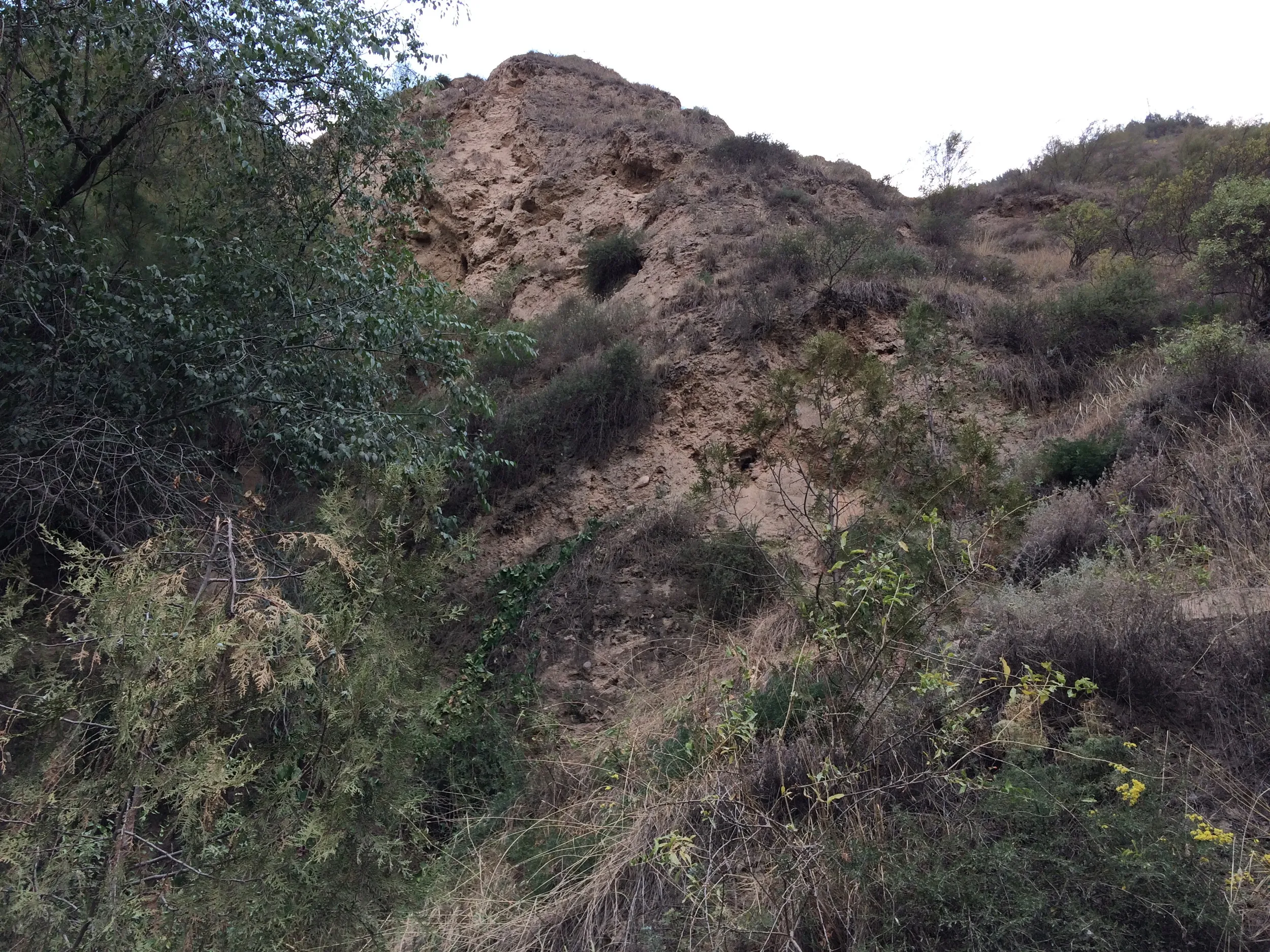 山道をトレッキング