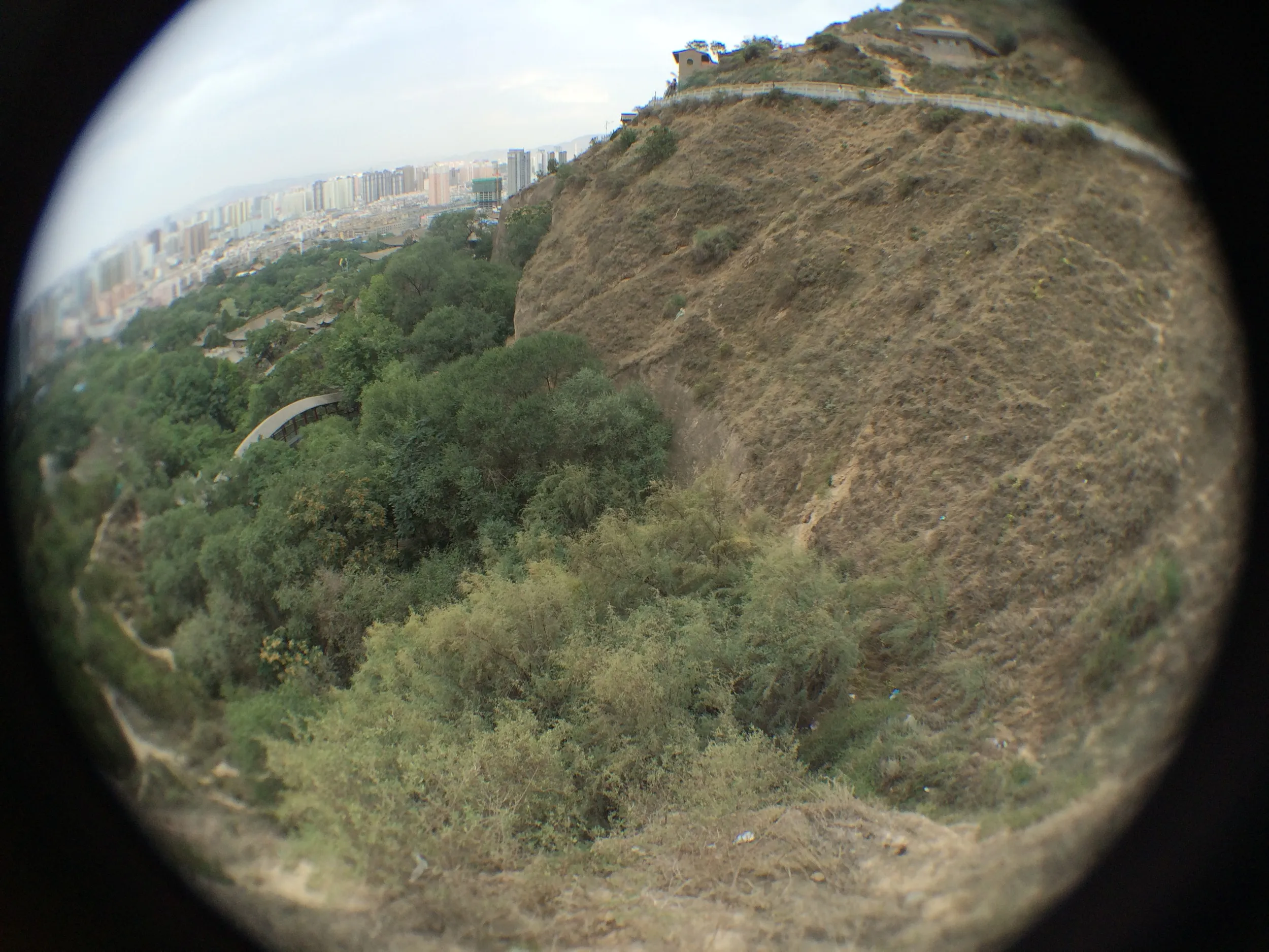 LomoのFisheye2で撮影した写真