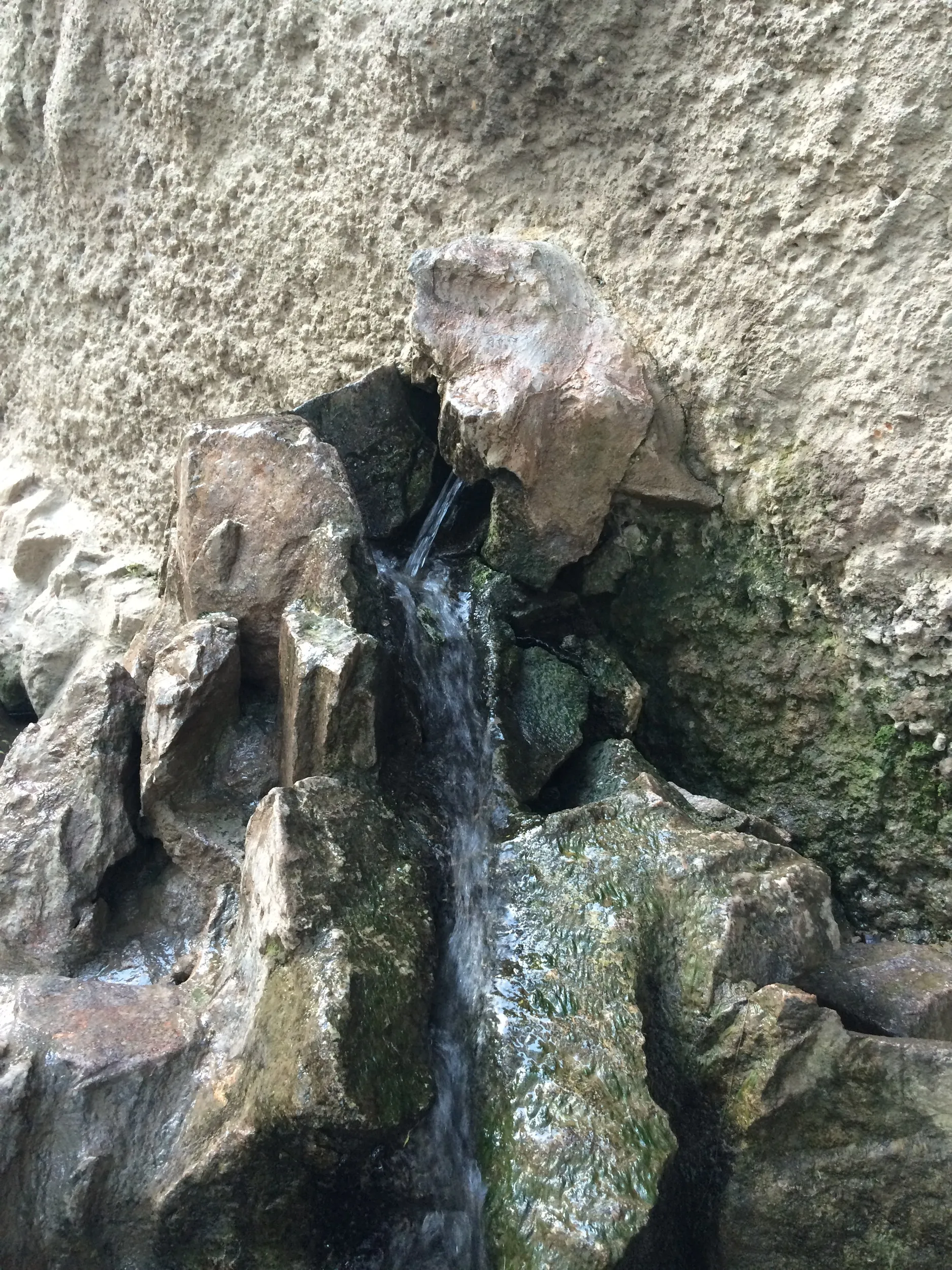 水が湧き出ている場所