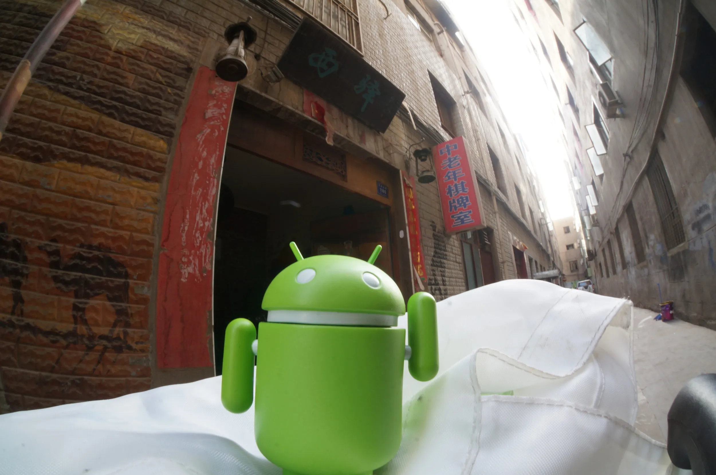 ドロイド君が記念撮影