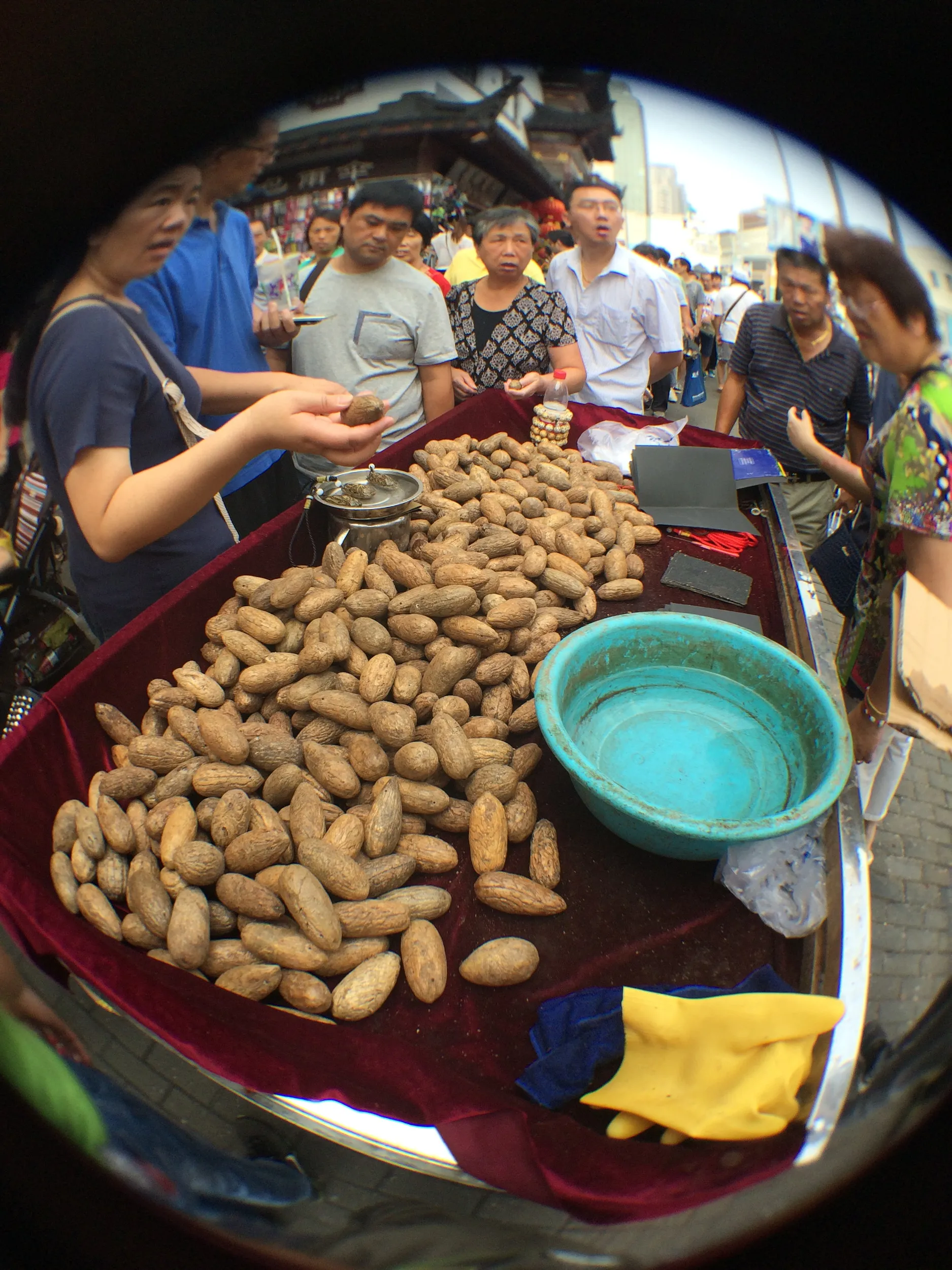 水につけると色が変わる碧根果
