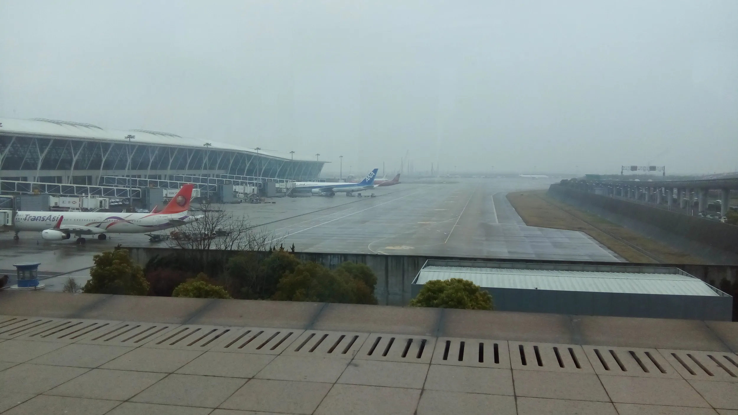 ビザ取得のため日本へ一時帰国