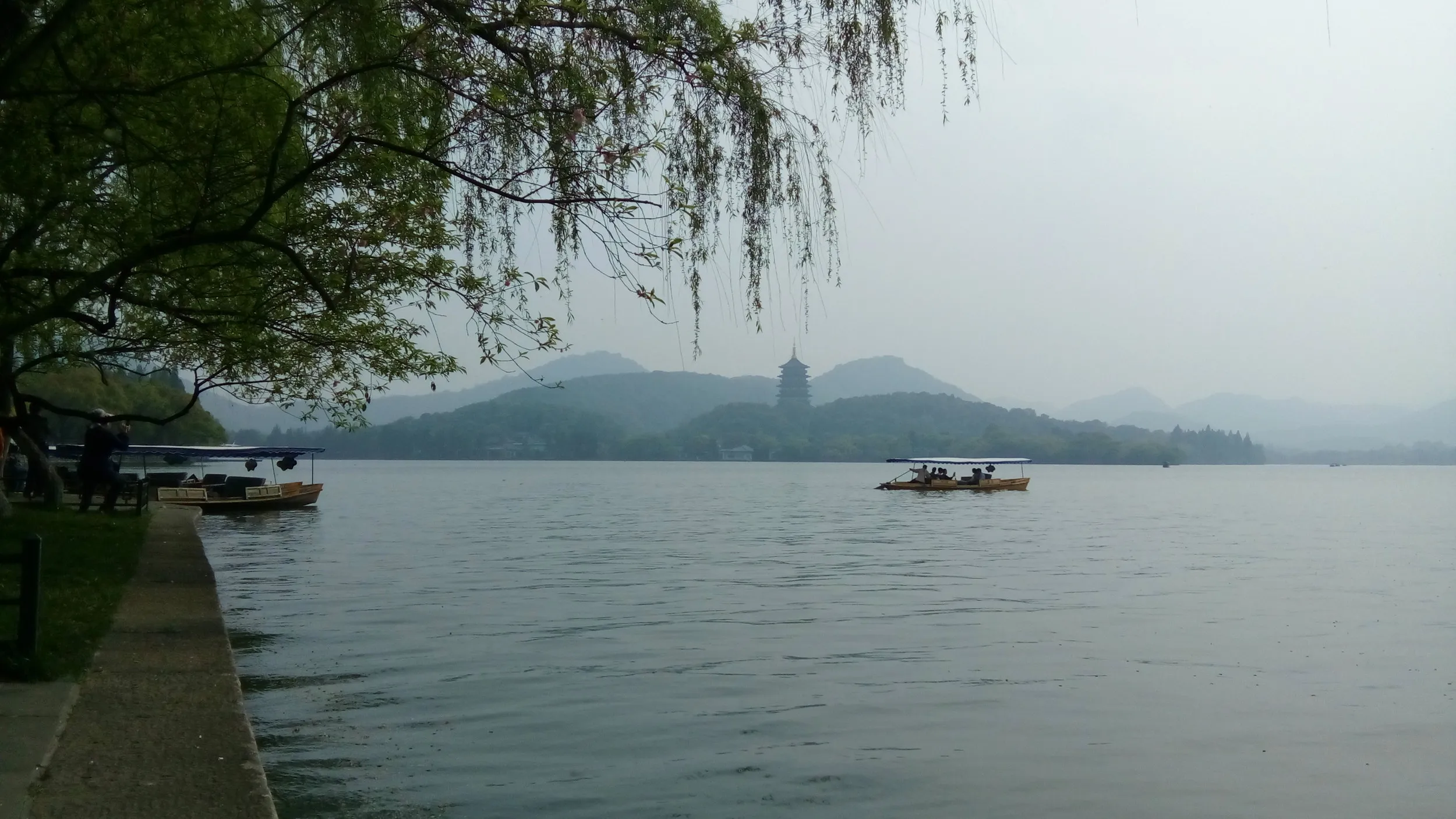 柳絮舞う春の西湖