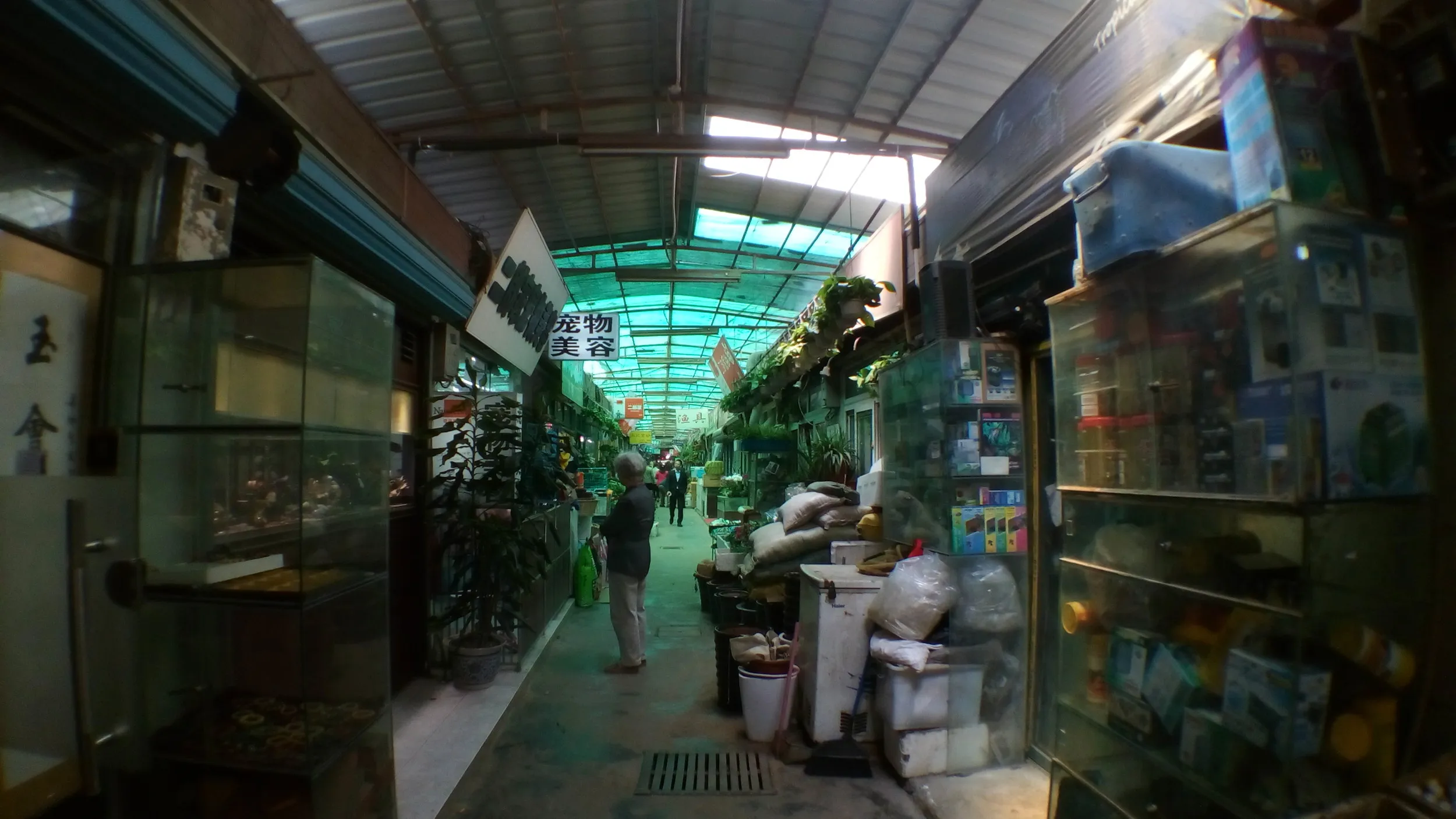 地下鉄4号線浦电路のペット・観葉植物市場