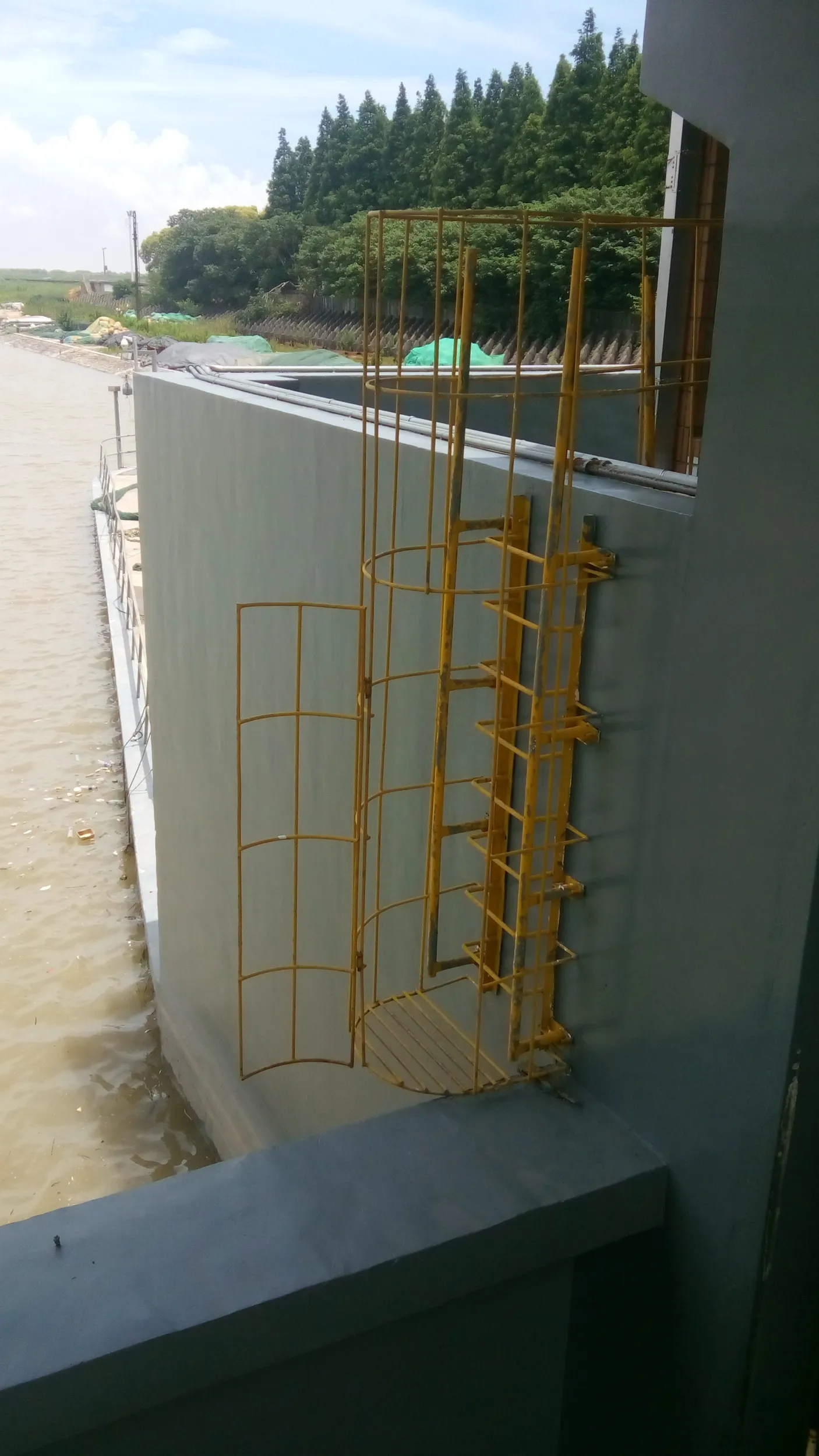 長江河畔の風景