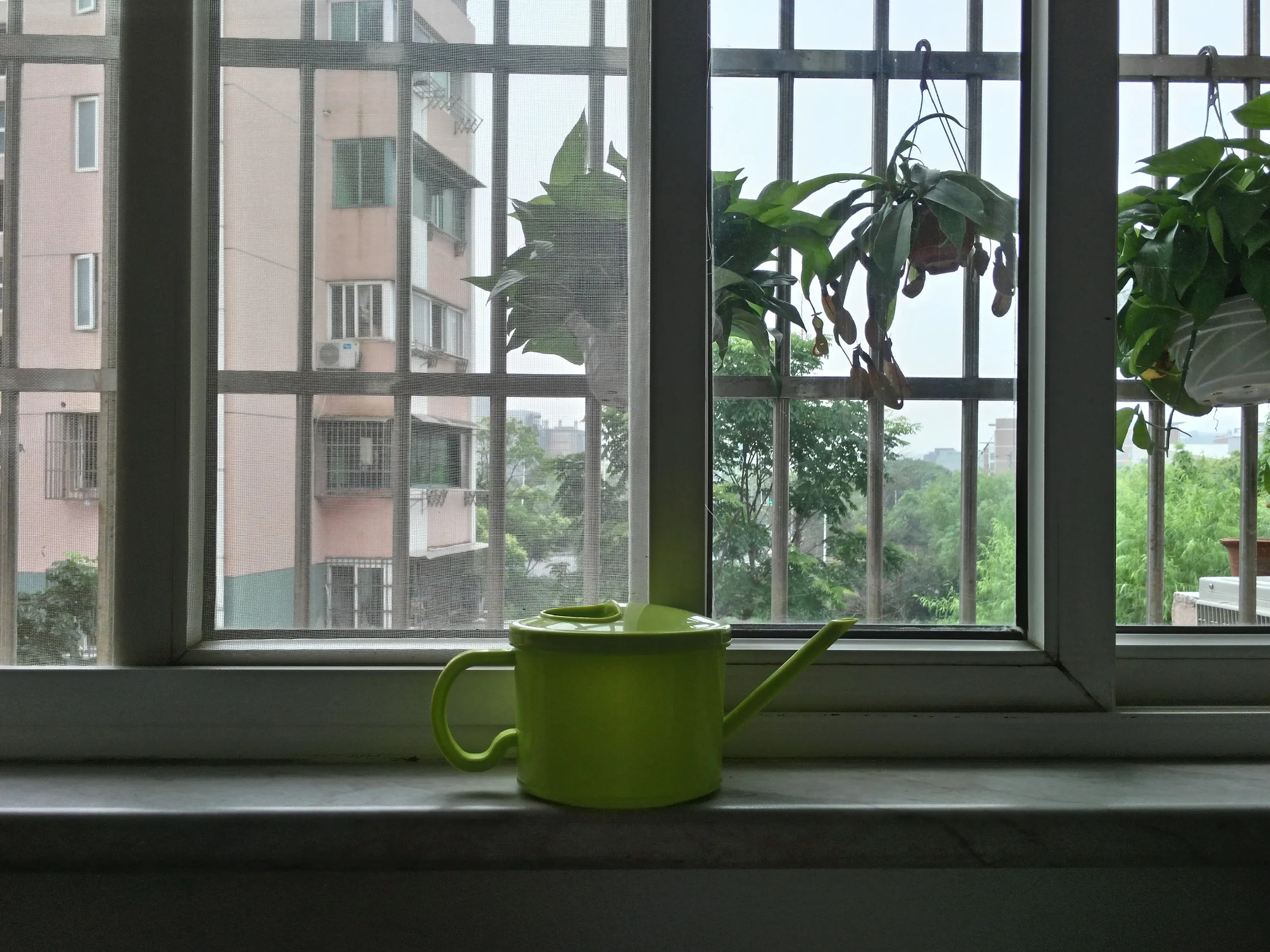 部屋からの風景