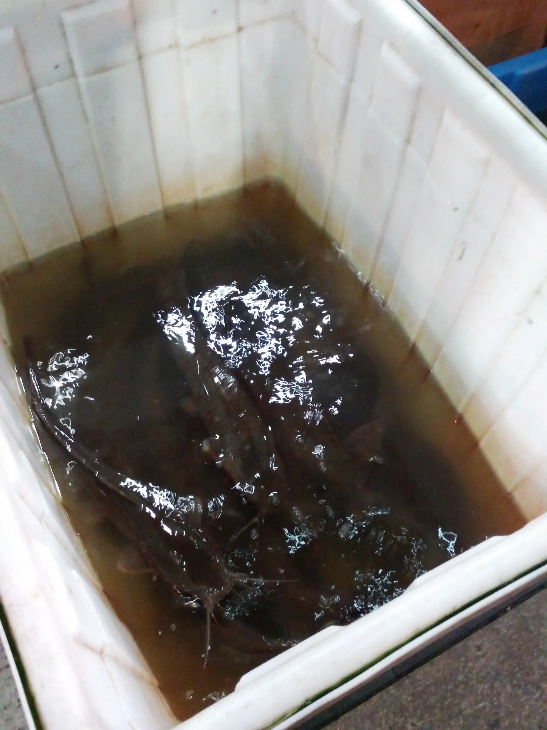 部屋付近の様子