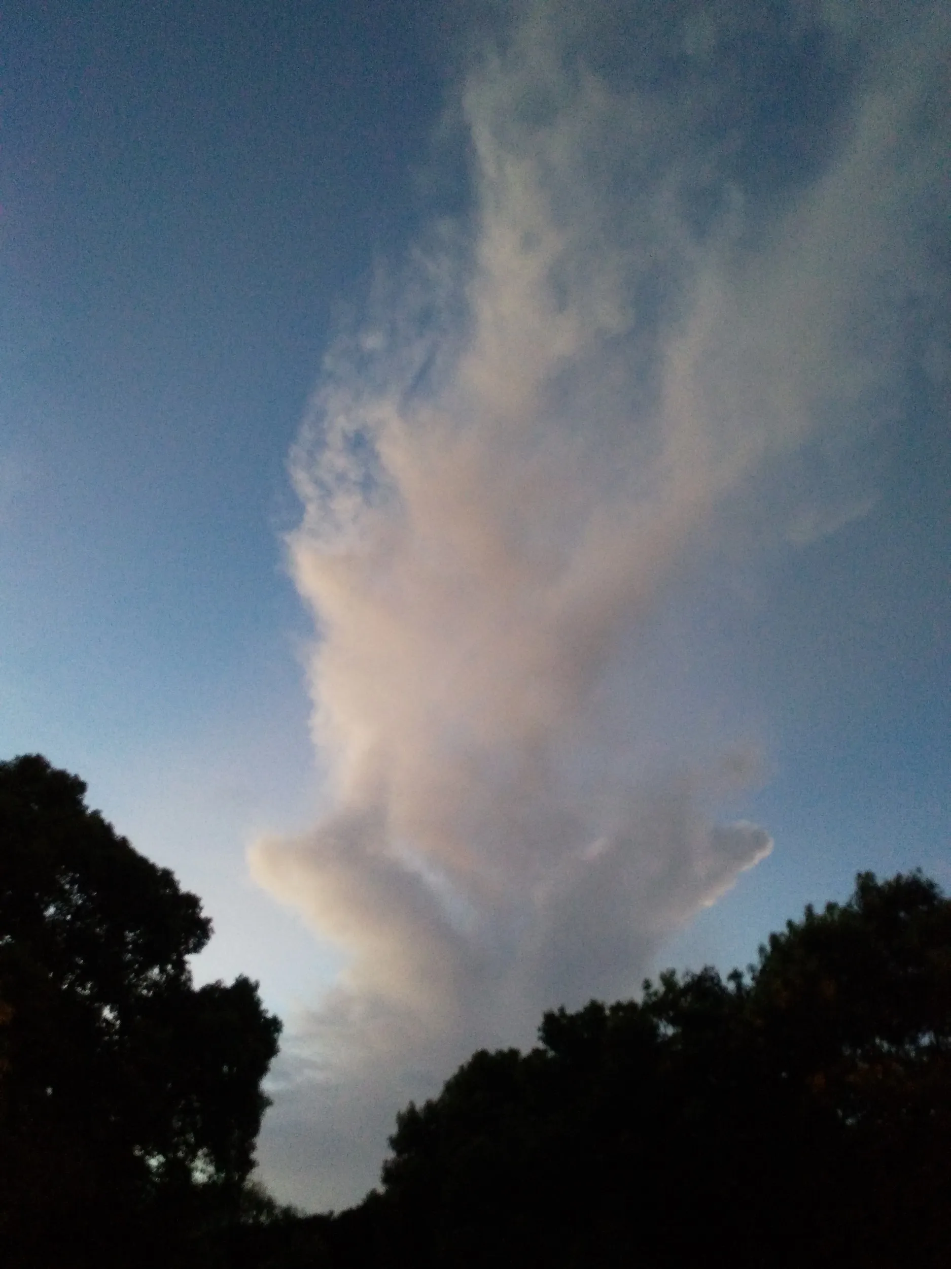 上海の夕方の空