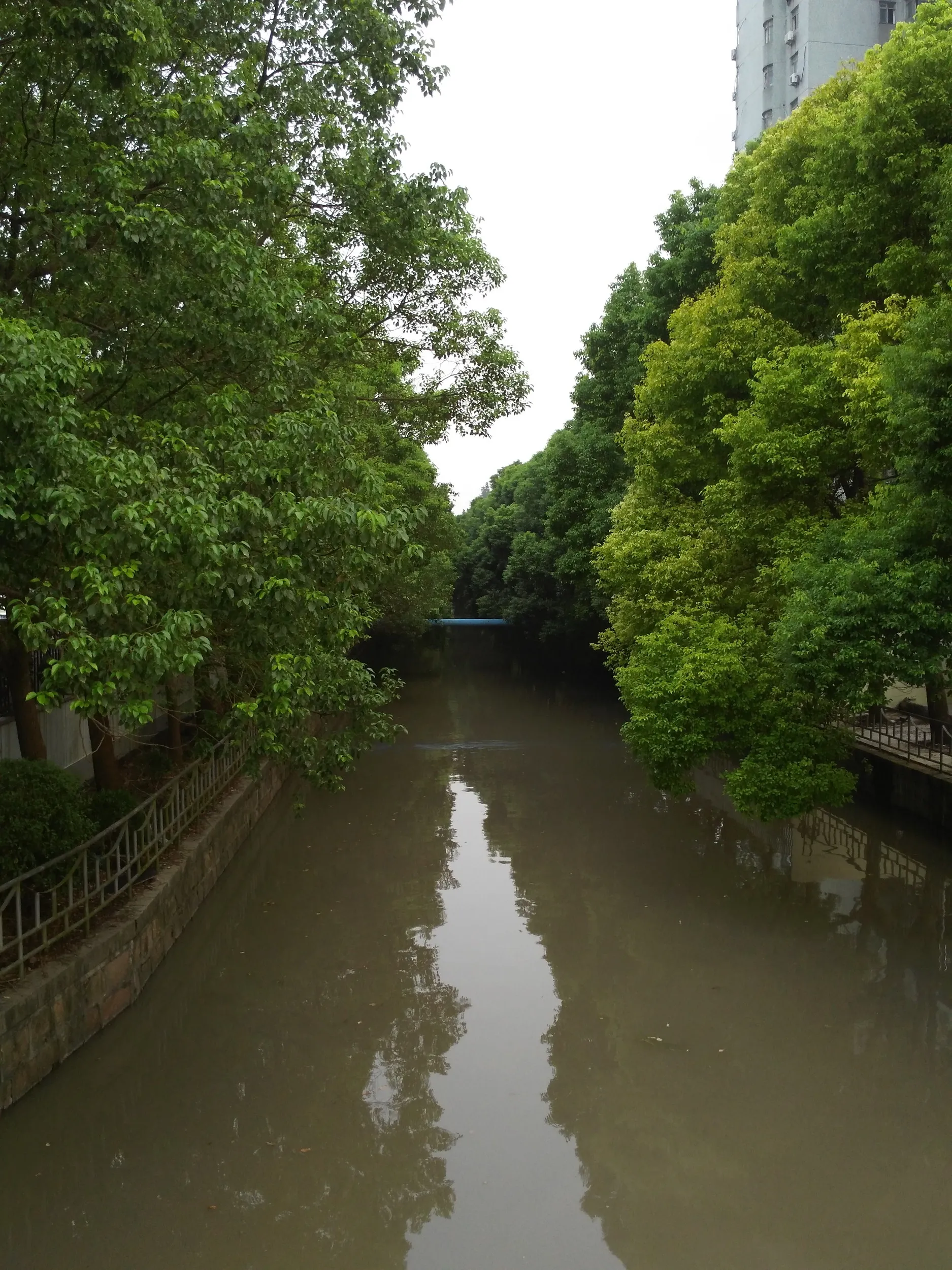 部屋付近の風景