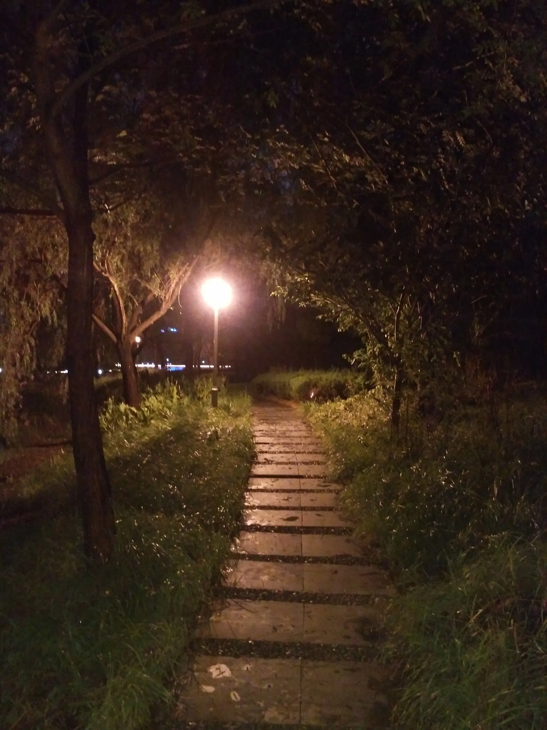 金科路付近の池でニコ生