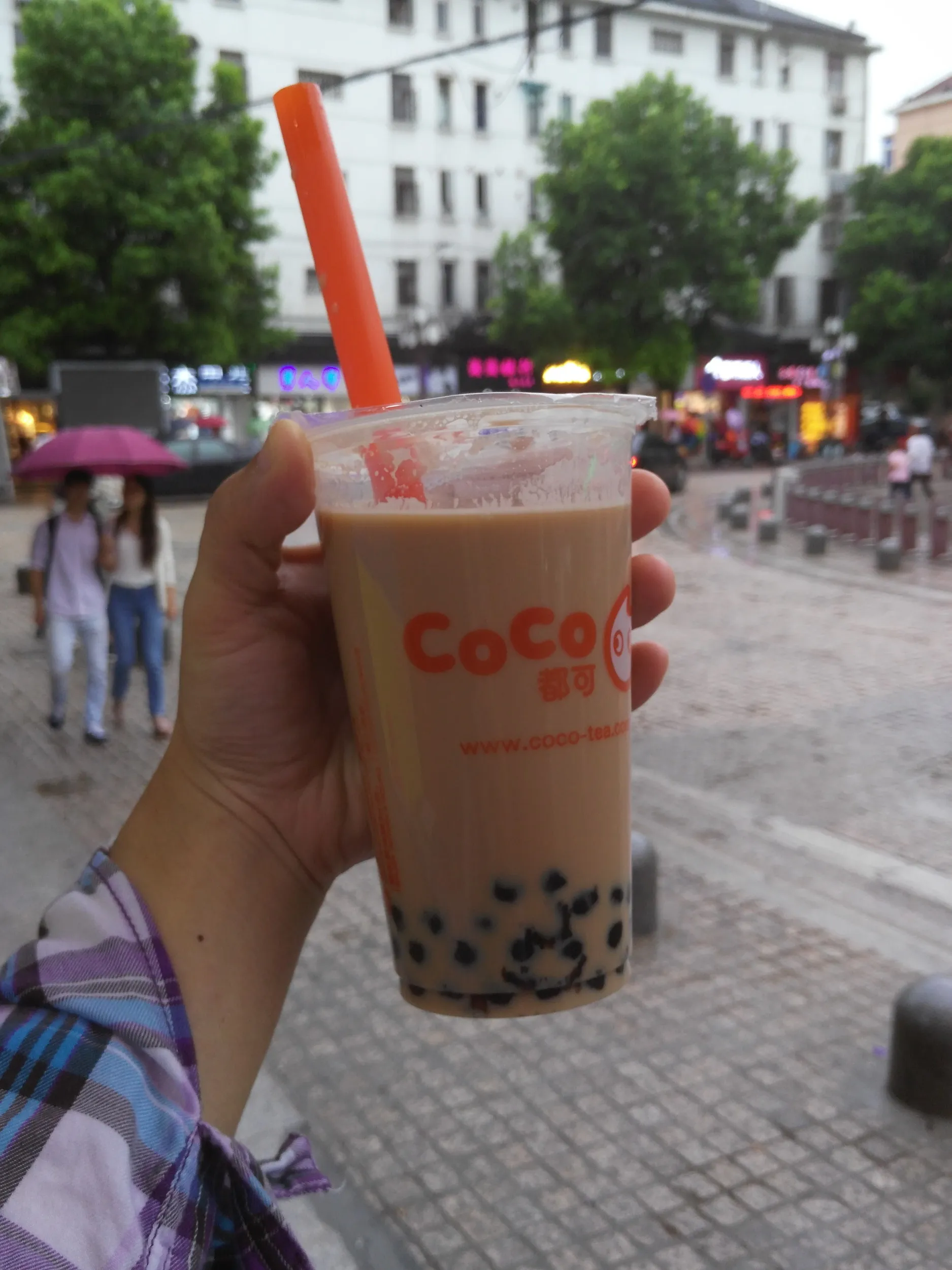 CoCoのミルクティー