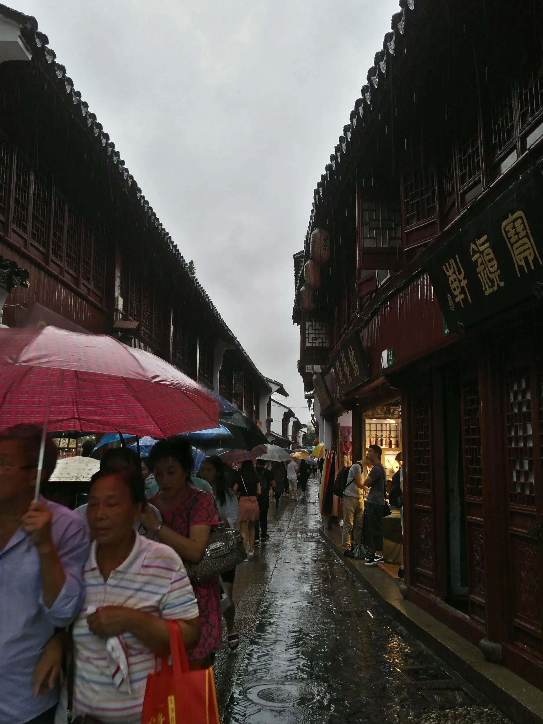 雨の歩行者天国