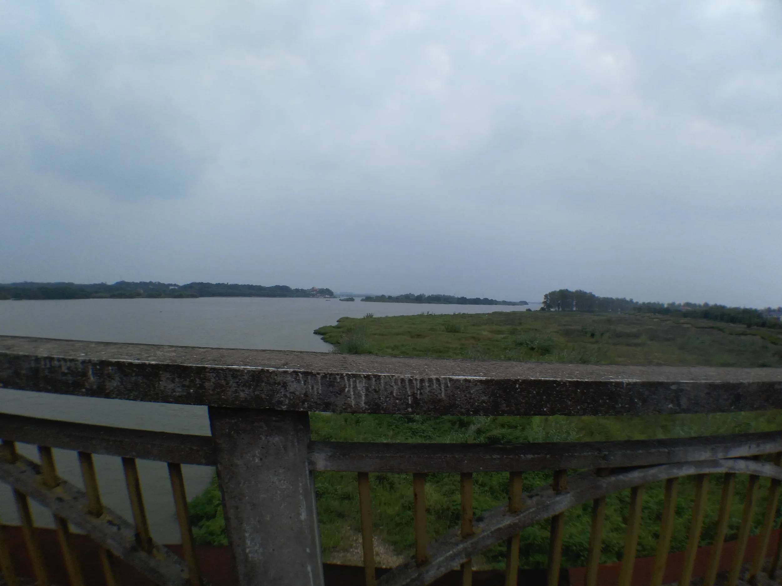 龍遊大橋からの風景