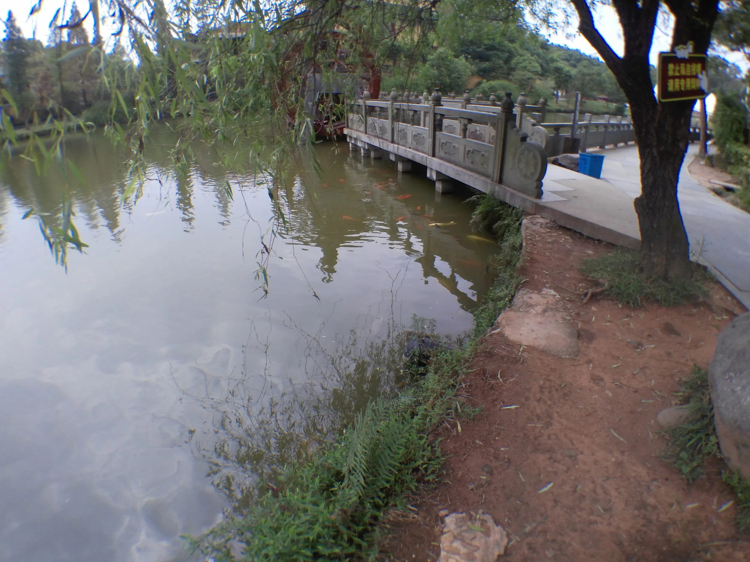 景観区内の様子