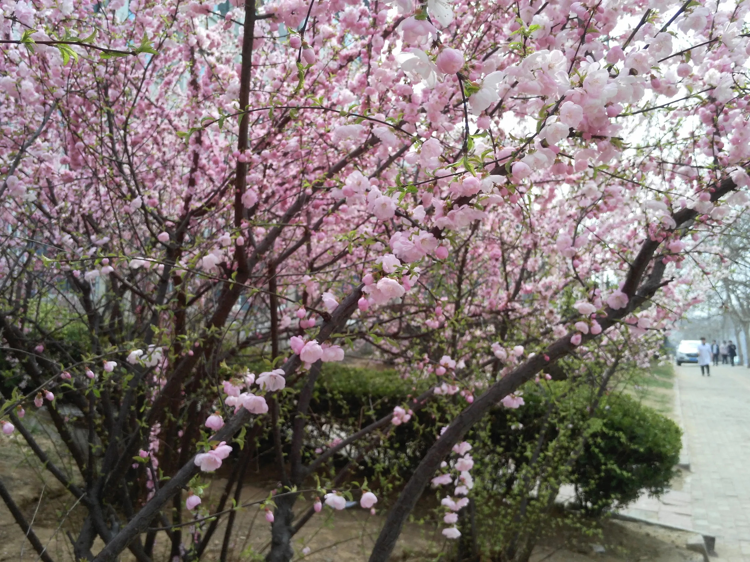 バスの車窓から