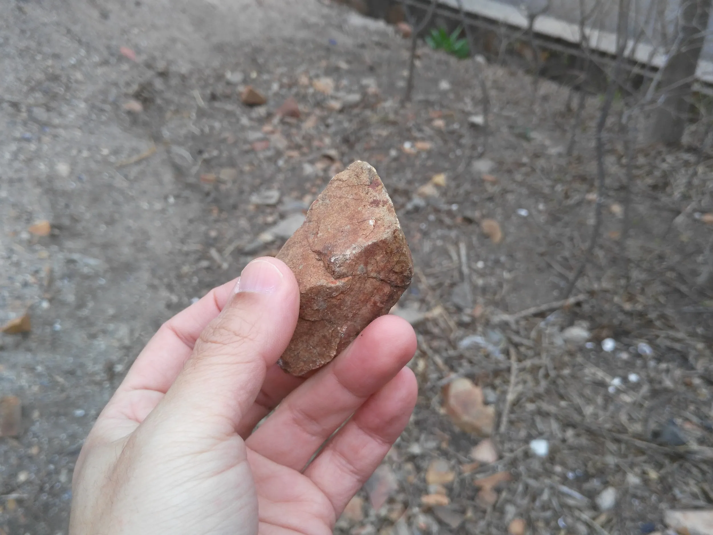 記念に拾った石