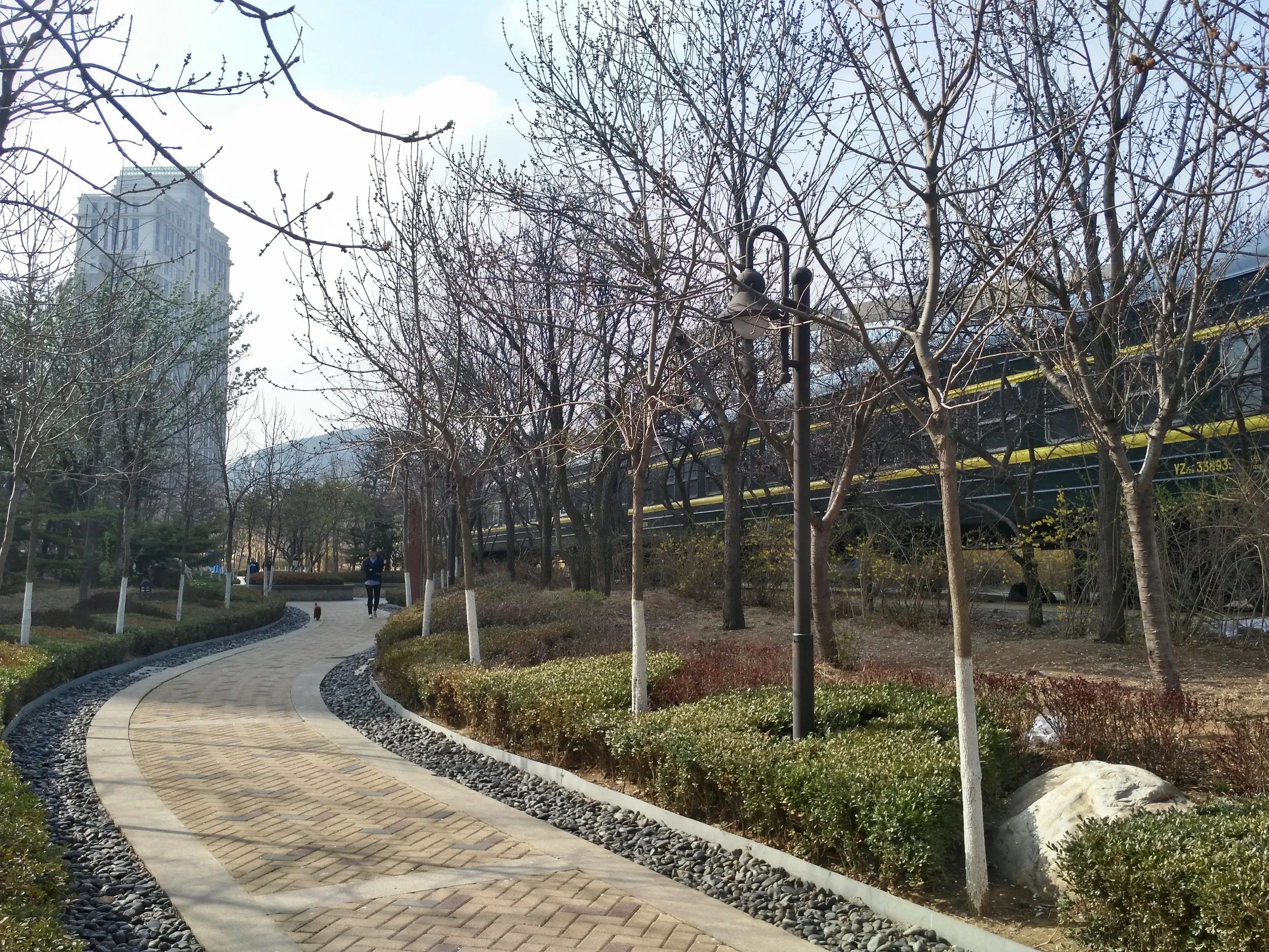 卵とトマト炒め飯