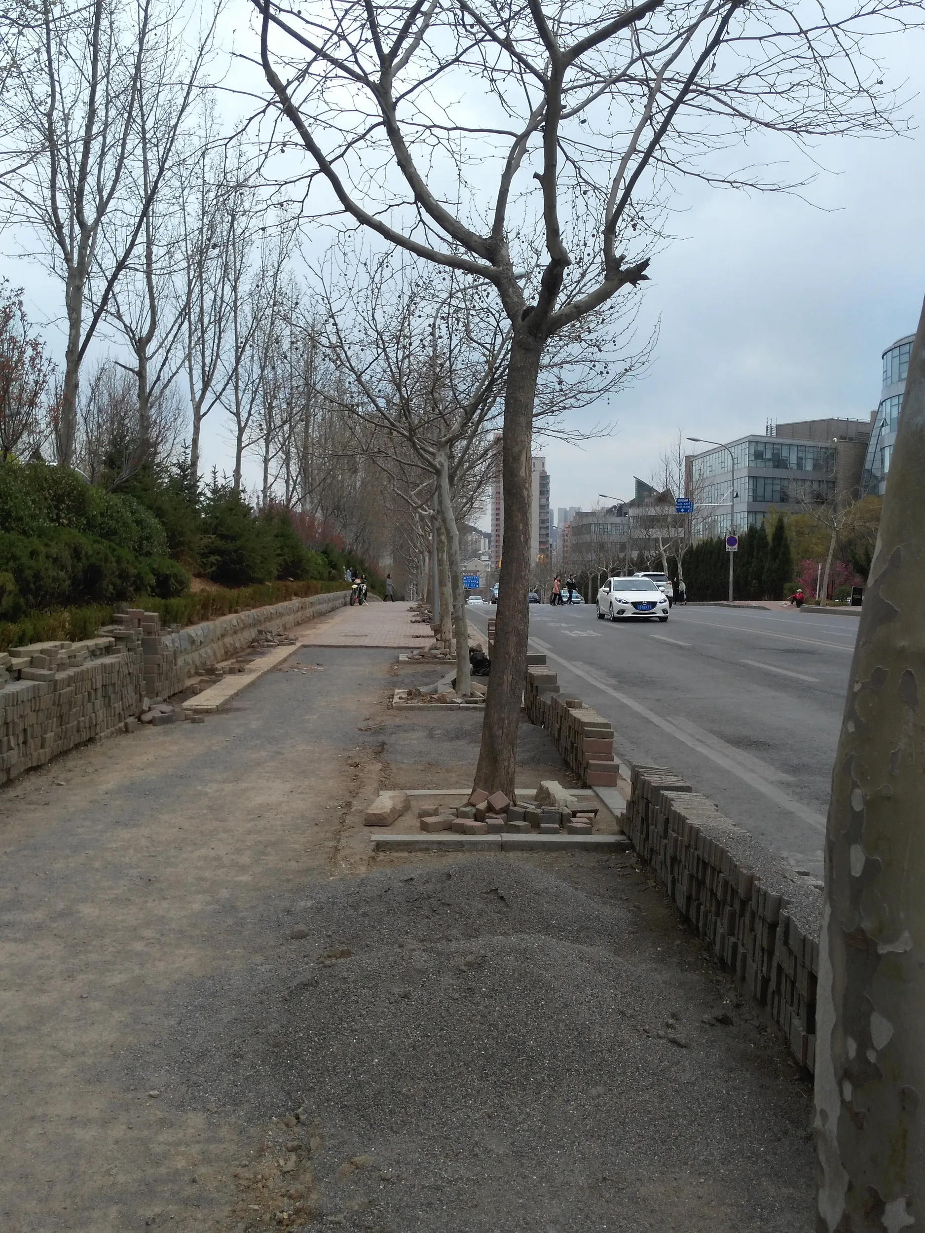 職場付近の風景