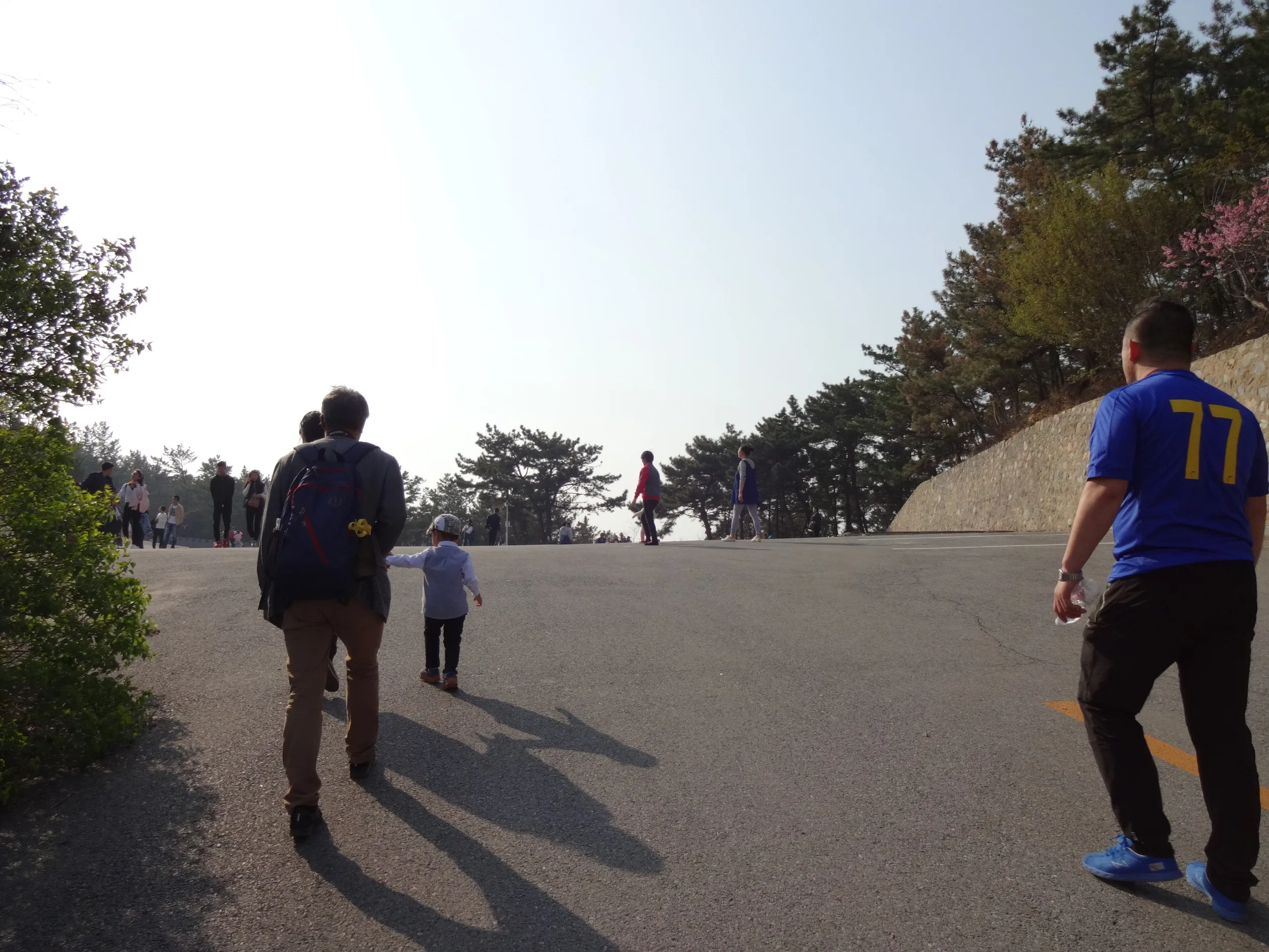 203高地の頂付近