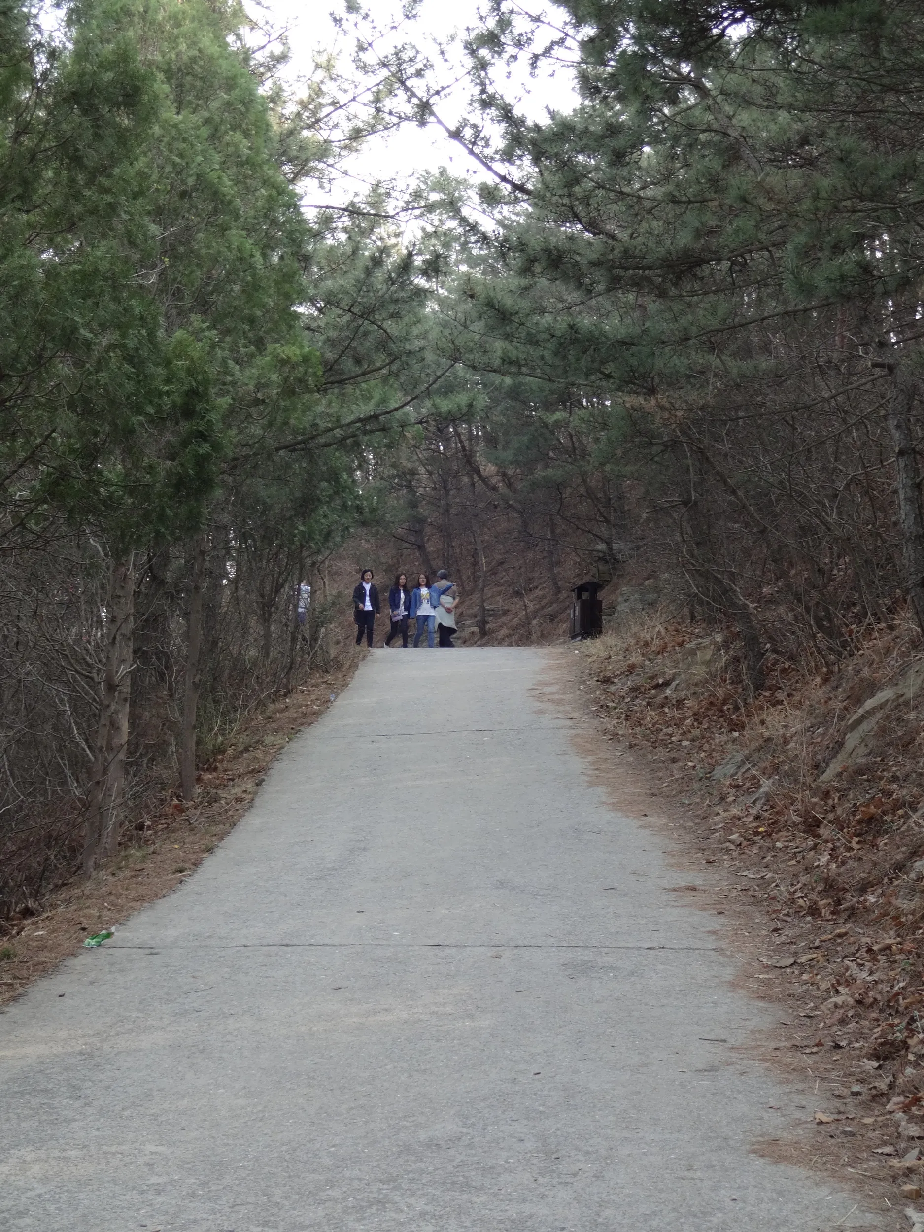 慰霊塔へ向かう道