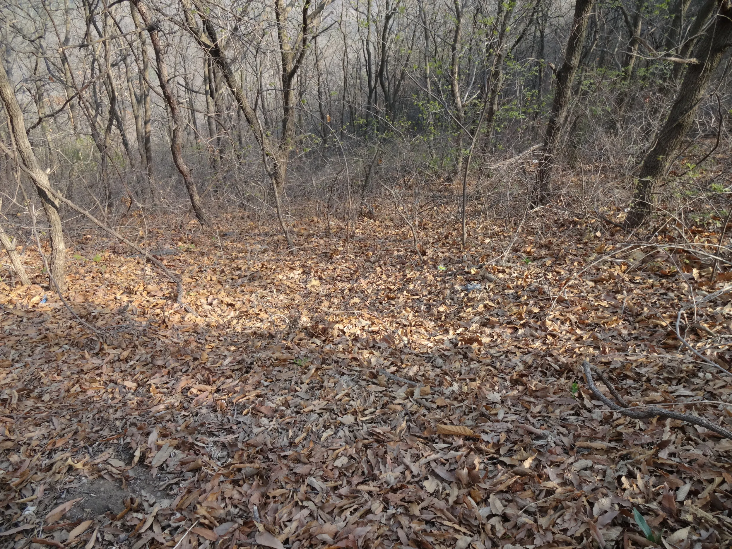 慰霊塔へ向かう道